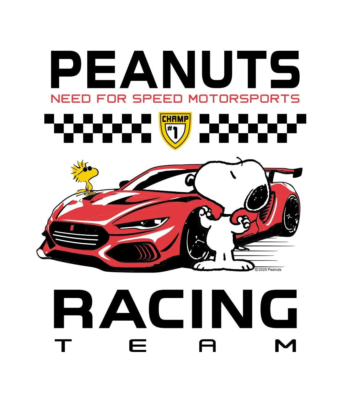 Peanuts Snoopy & Woodstock Racing Team Boyfriend Tee sold by riot society product image thumbnail 5
