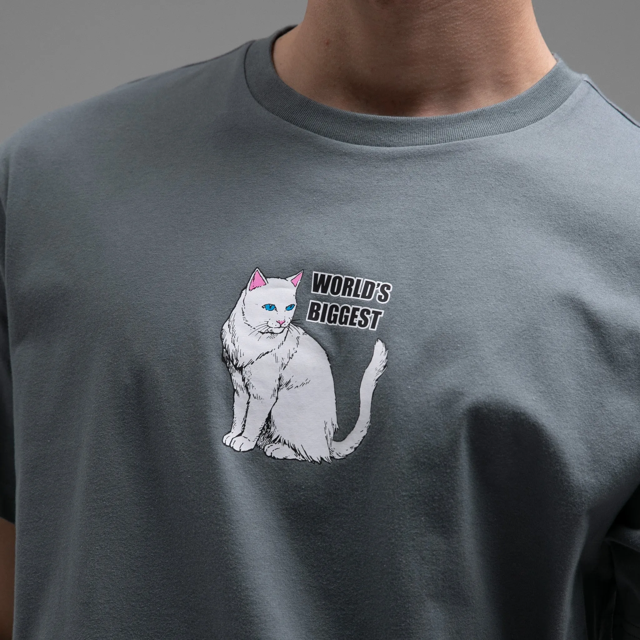 World's Biggest Tee (Charcoal) sold by Ripndip product image thumbnail 2