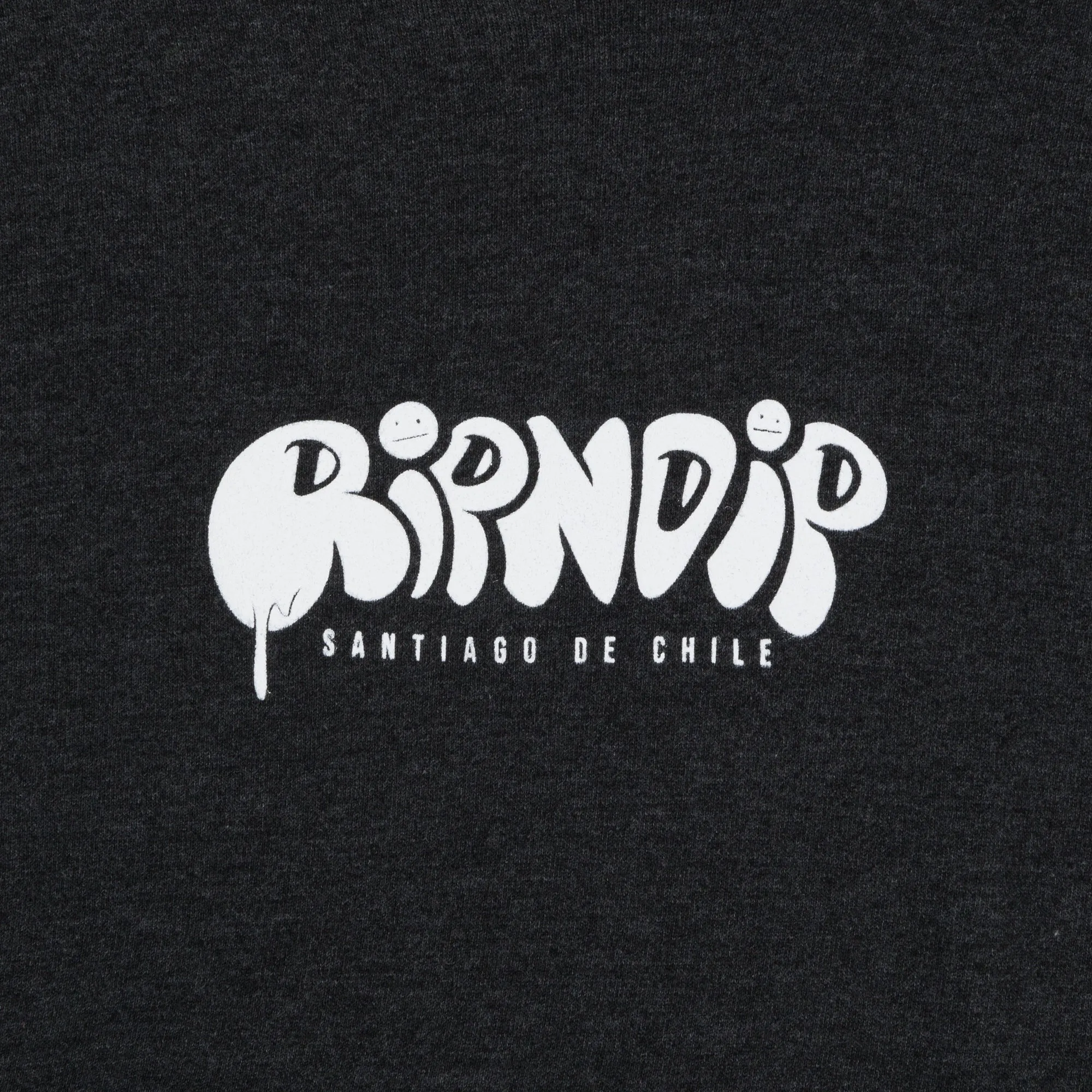 Santiago Hoodie (Charcoal) sold by Ripndip product image thumbnail 3