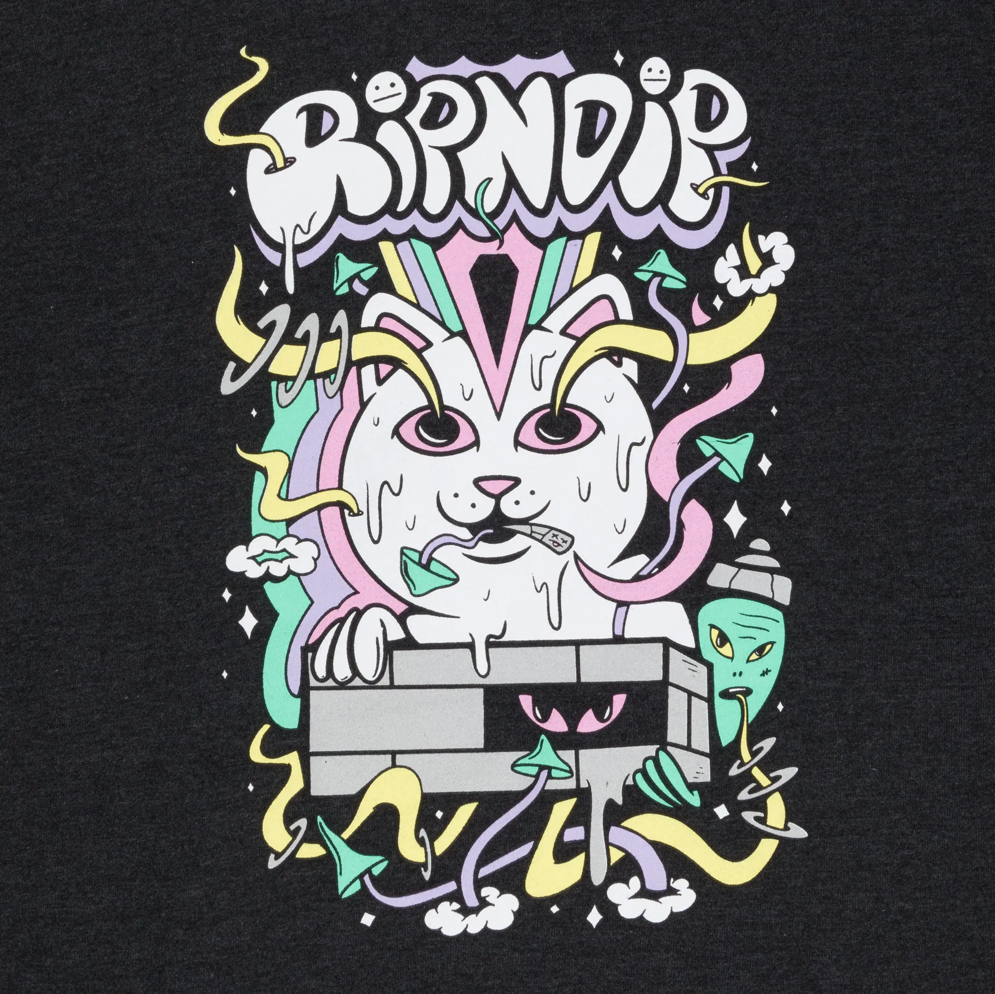 Santiago Hoodie (Charcoal) sold by Ripndip product image thumbnail 5
