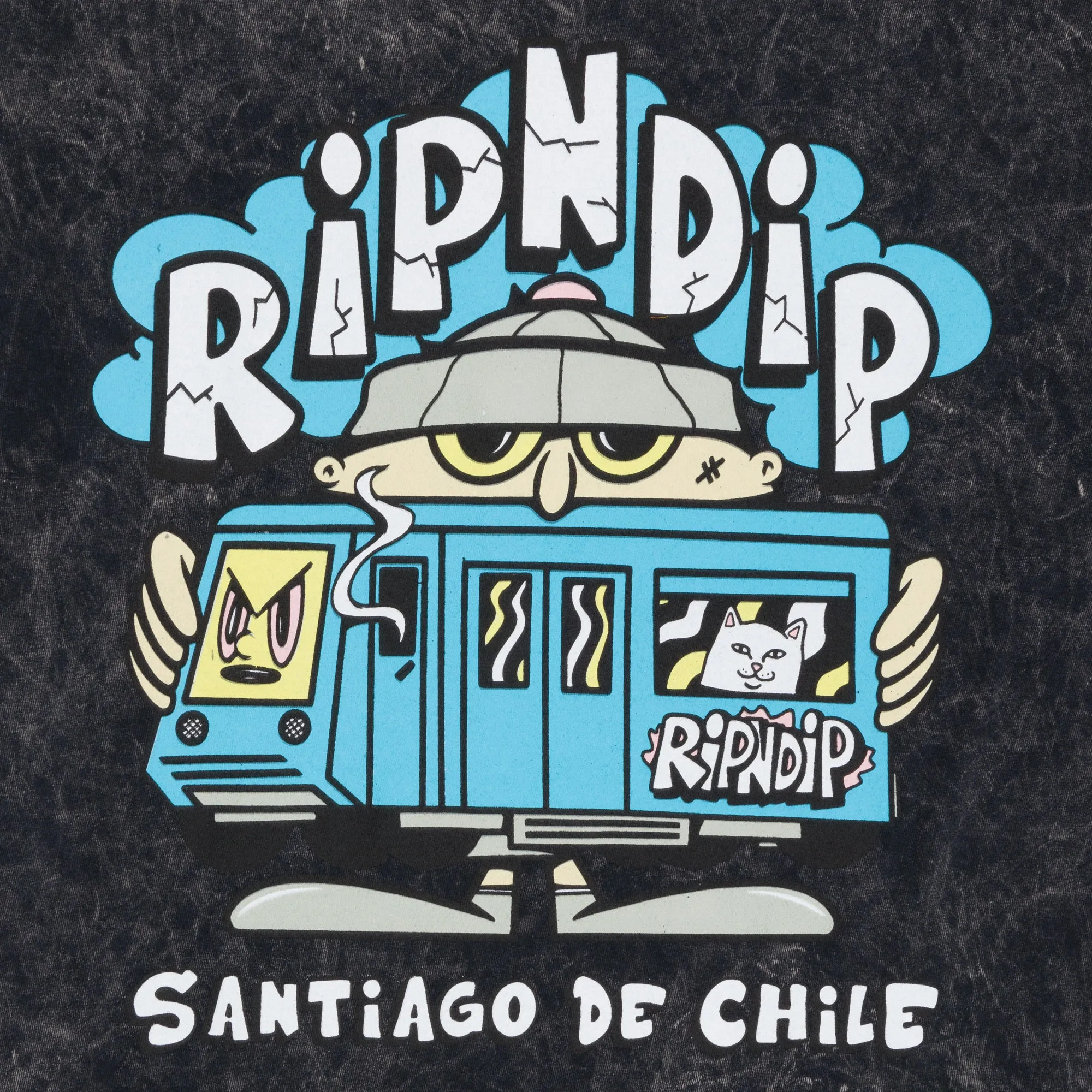 Nerm In Chile Tee (Black Mineral Wash) sold by Ripndip product image thumbnail 3