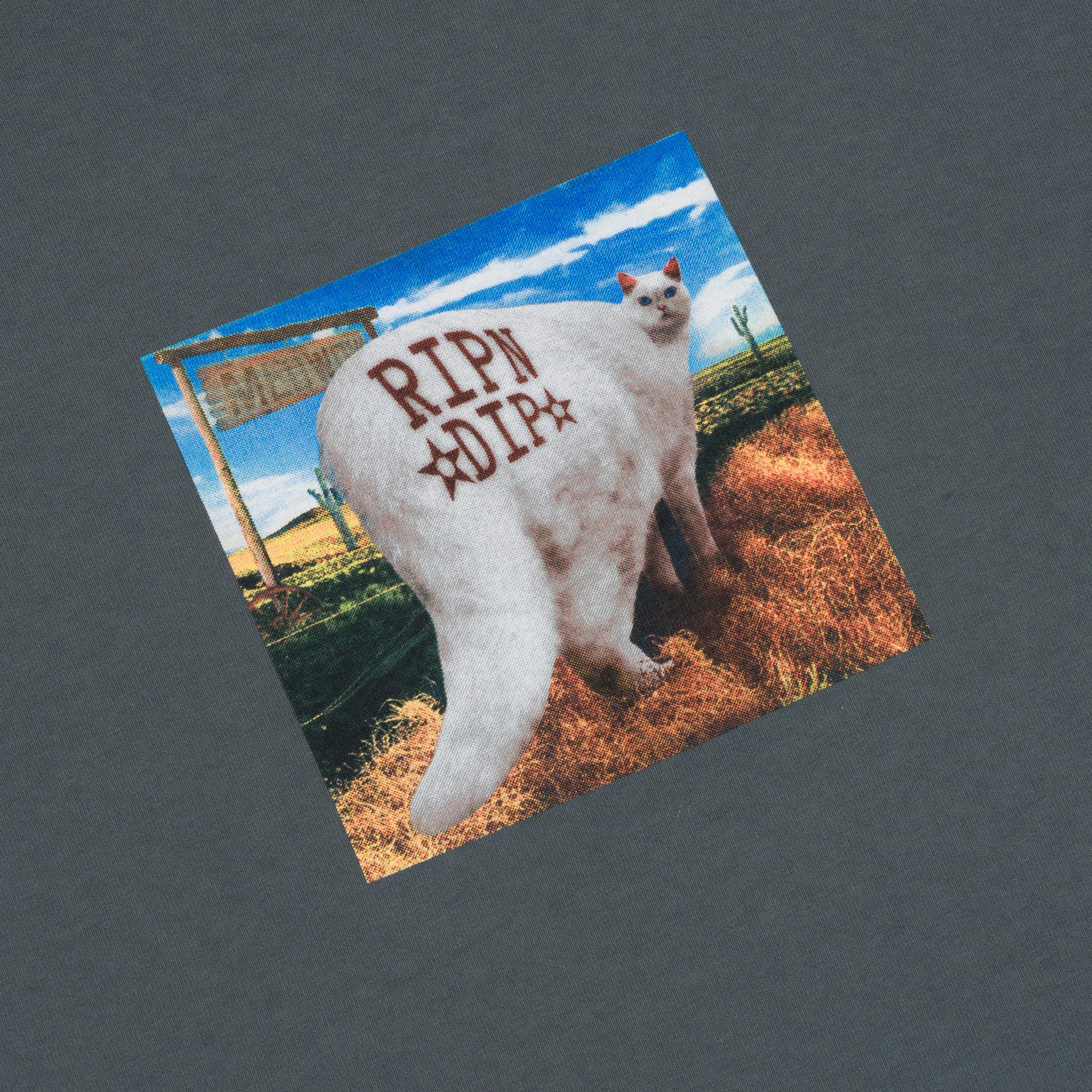 Rowdy Howdy Tee (Charcoal) sold by Ripndip product image thumbnail 3