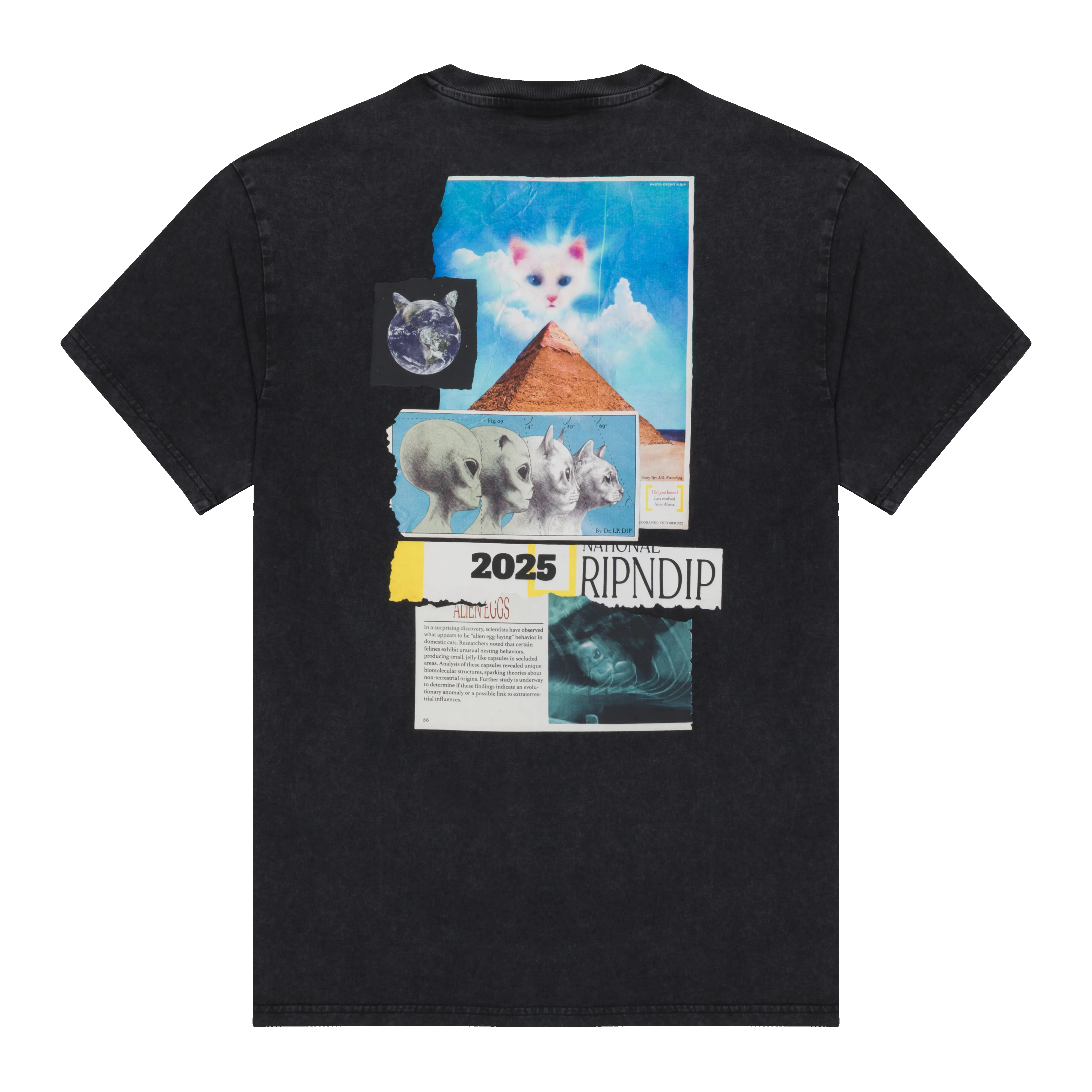 Nerm Geo Tee (Black Vintage Wash) sold by Ripndip