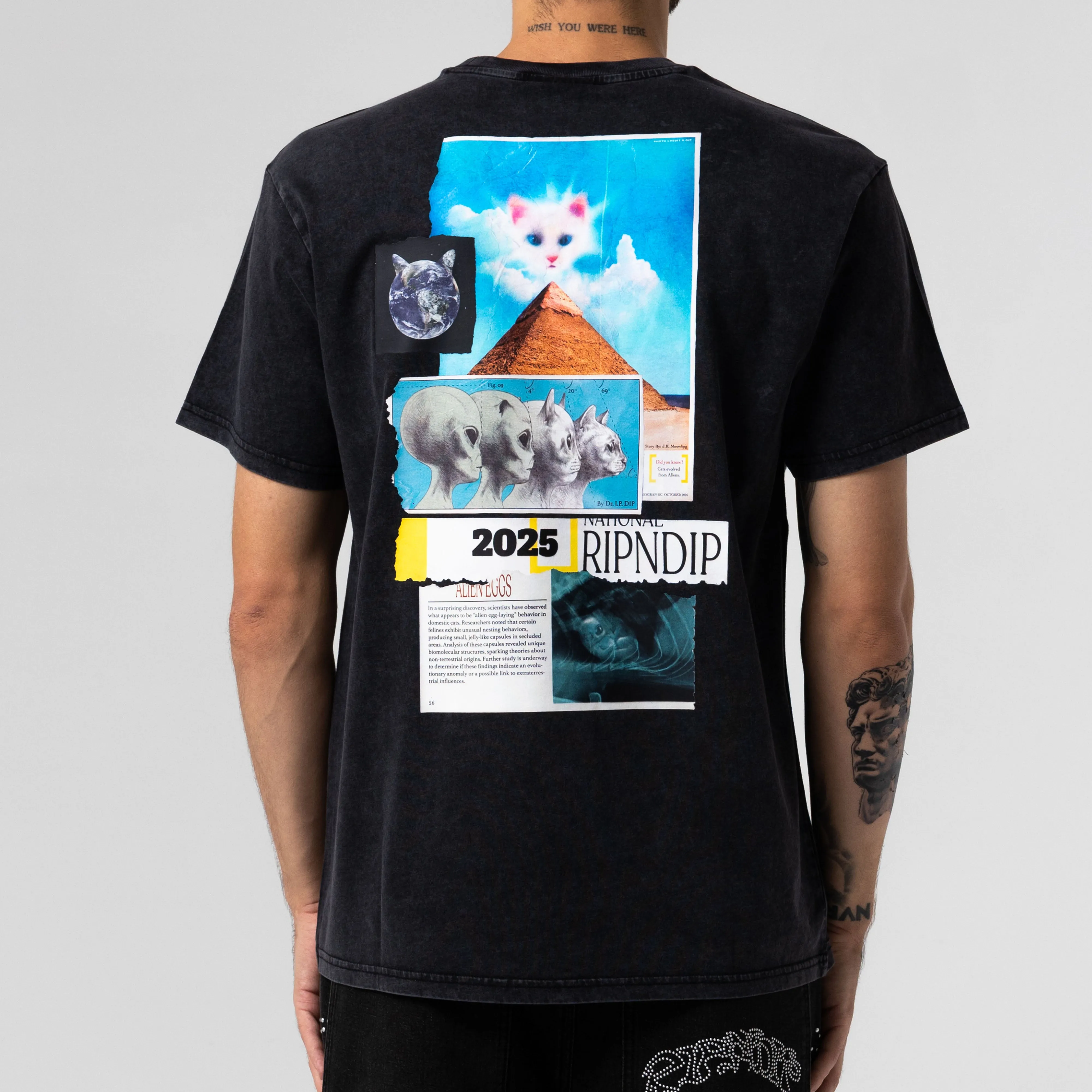 Nerm Geo Tee (Black Vintage Wash) sold by Ripndip product image thumbnail 3