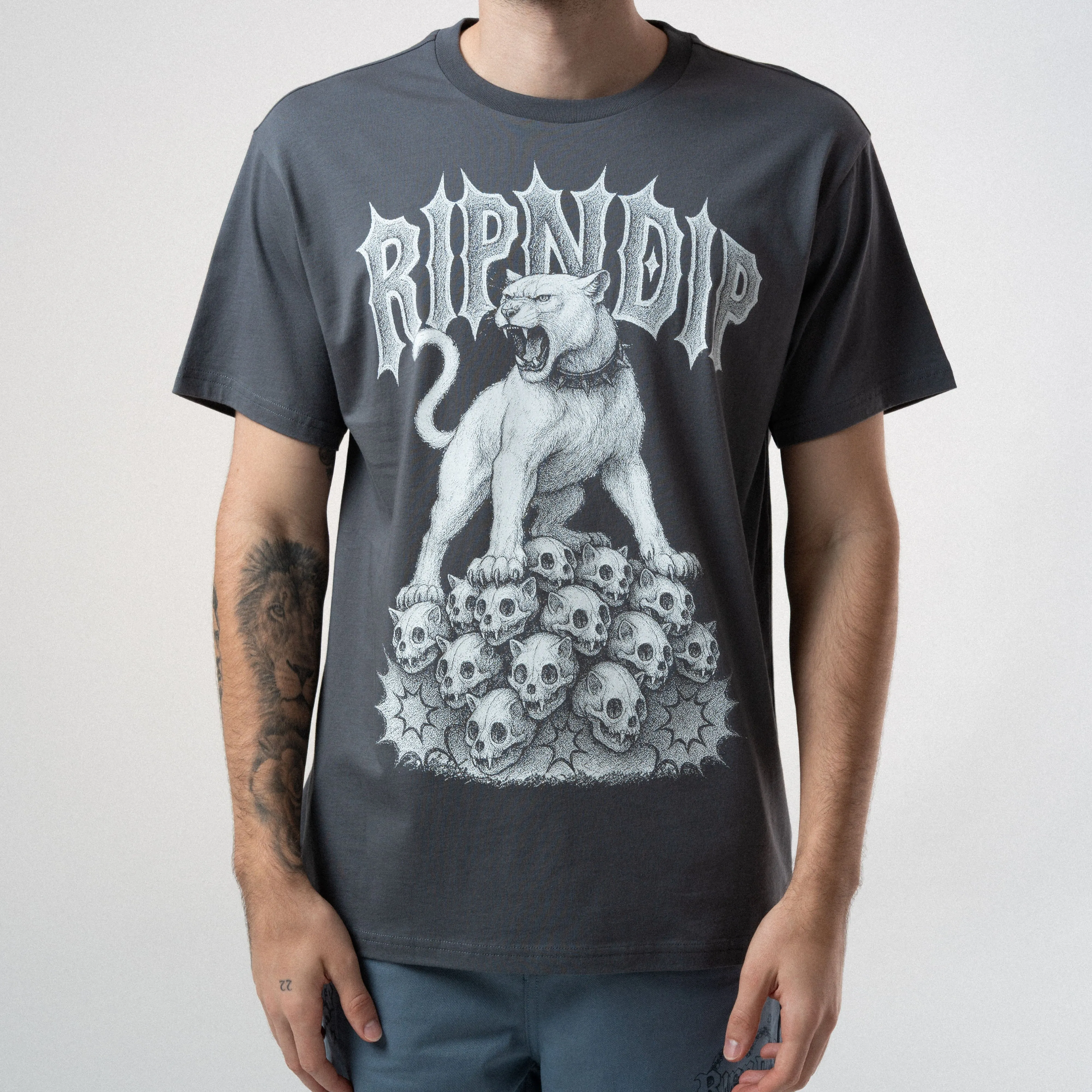 Wasteland Tee (Charcoal) sold by Ripndip product image thumbnail 2