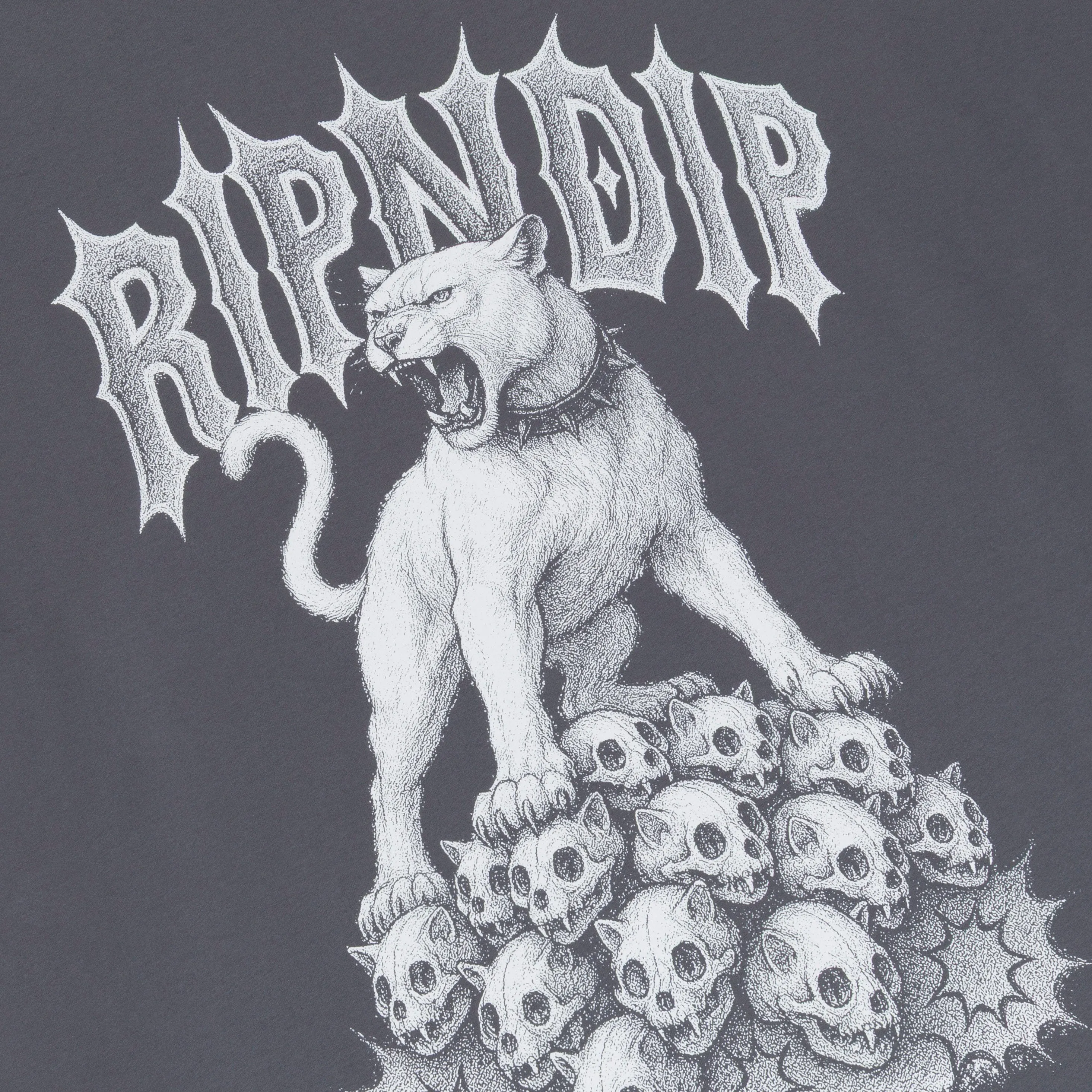 Wasteland Tee (Charcoal) sold by Ripndip product image thumbnail 3