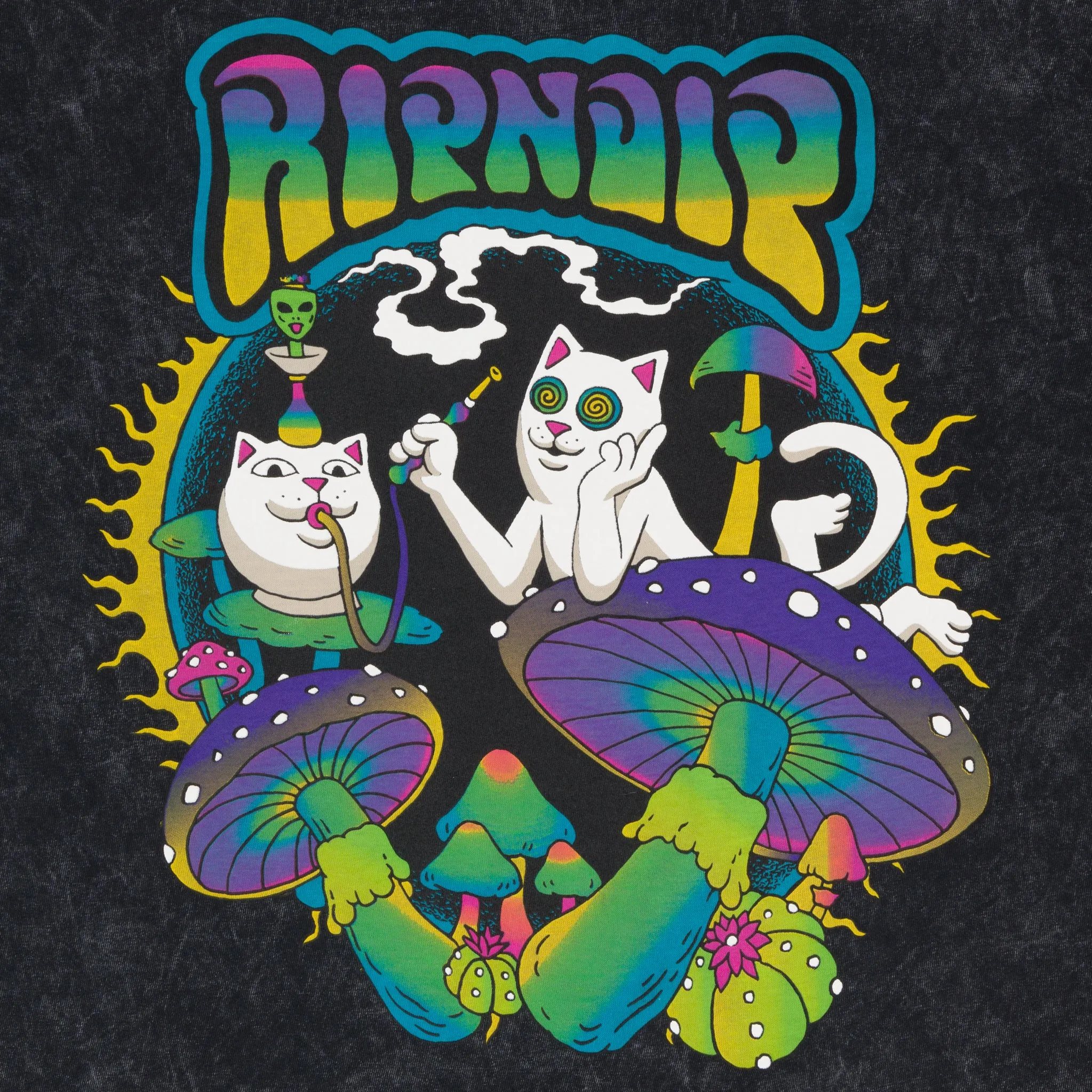 Psychedelic Garden Tee (Black Mineral Wash) sold by Ripndip product image thumbnail 3