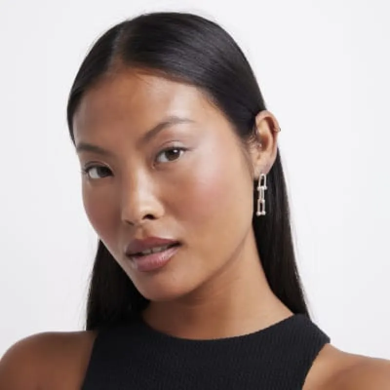 Silver chain link drop earrings sold by River Island