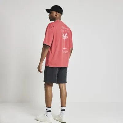 Red regular graphic embroidered t-shirt sold by River Island