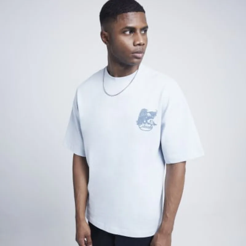 Blue oversized fit eagle graphic t-shirt sold by River Island