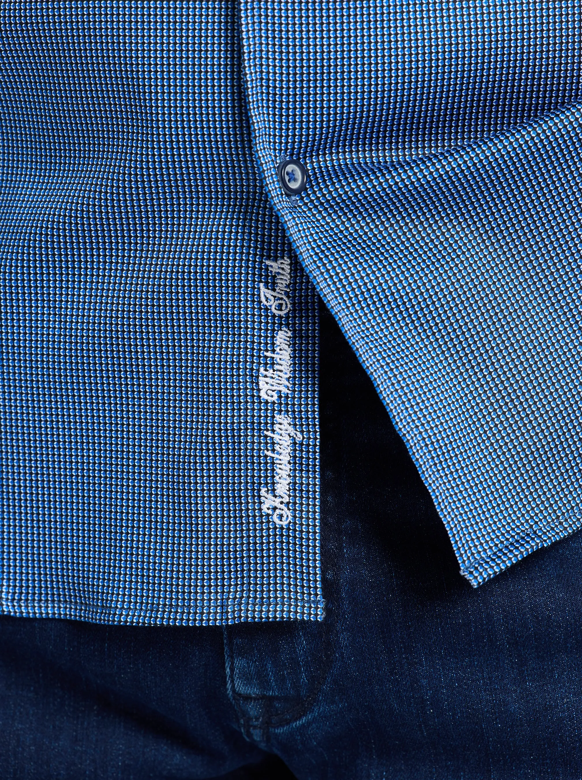 CORTLAND LONG SLEEVE BUTTON DOWN SHIRT sold by Robert Graham product image thumbnail 5