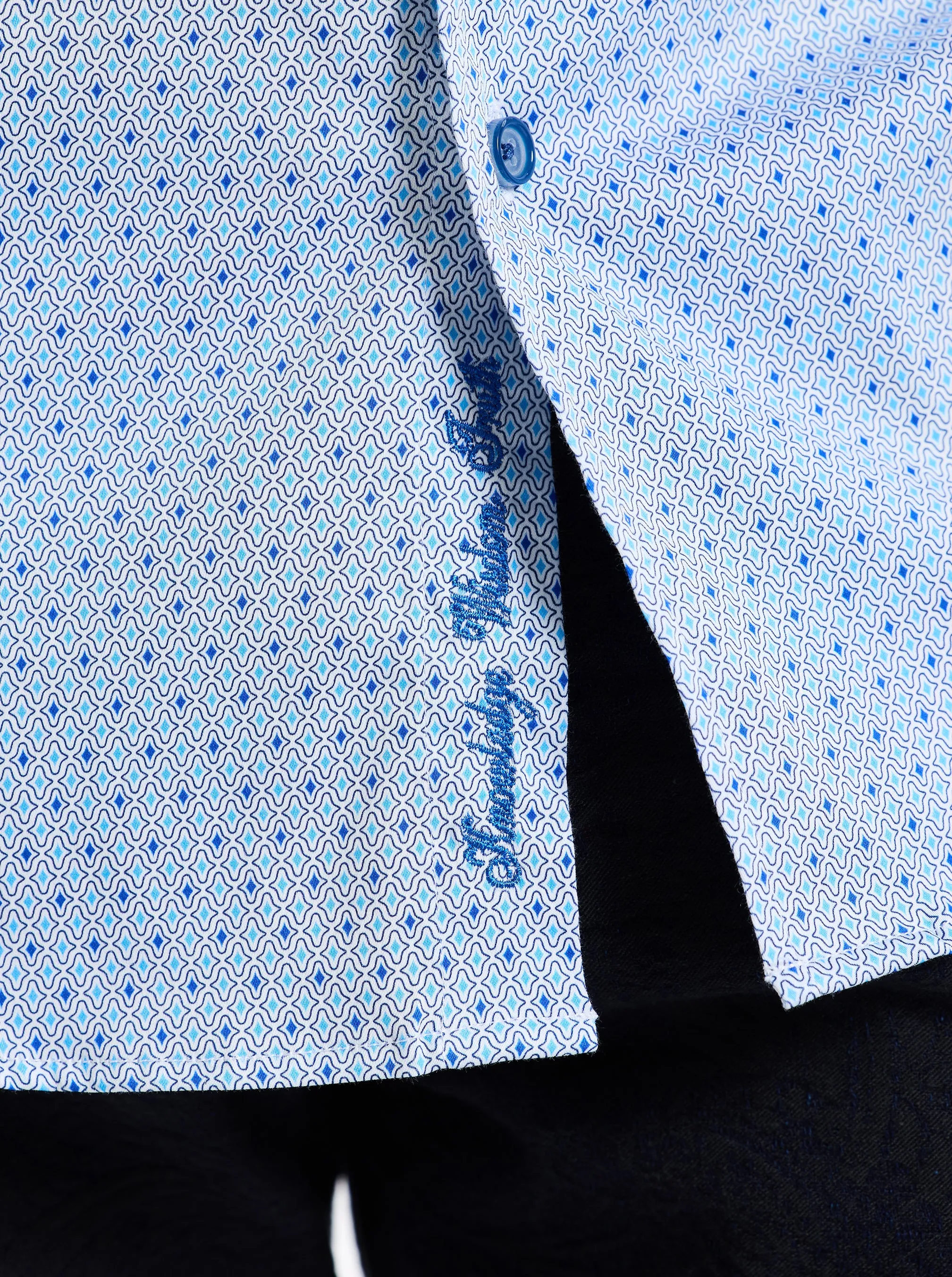 CLAYTON LONG SLEEVE BUTTON DOWN SHIRT sold by Robert Graham product image thumbnail 5