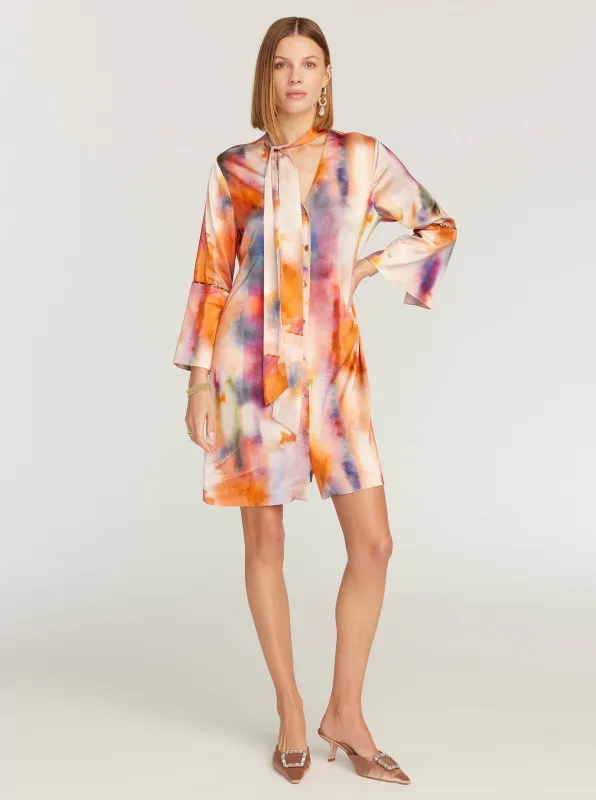 BRENNA DRESS made by Robert Graham