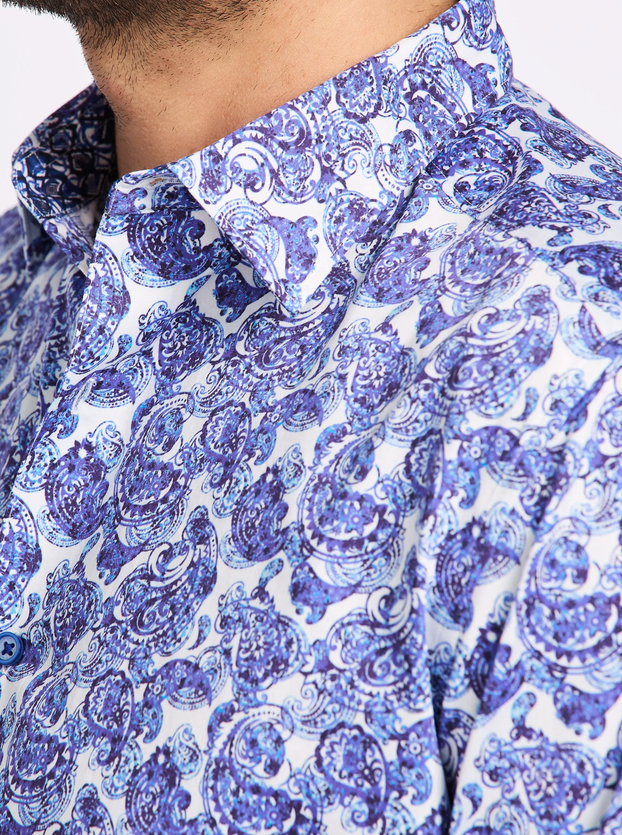 DORVAL LONG SLEEVE BUTTON DOWN SHIRT sold by Robert Graham product image thumbnail 4