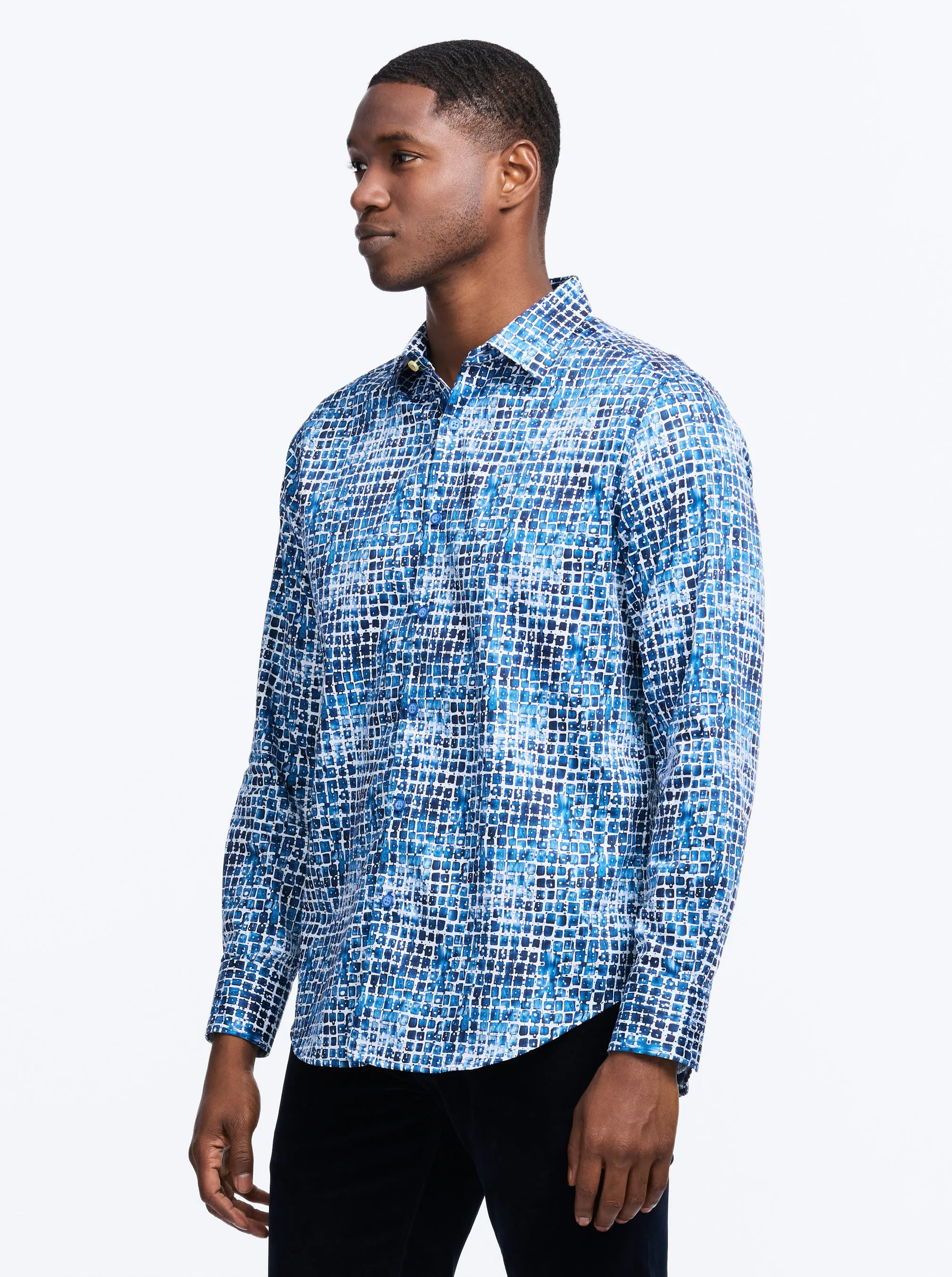 HESTER LONG SLEEVE BUTTON DOWN SHIRT sold by Robert Graham product image thumbnail 5