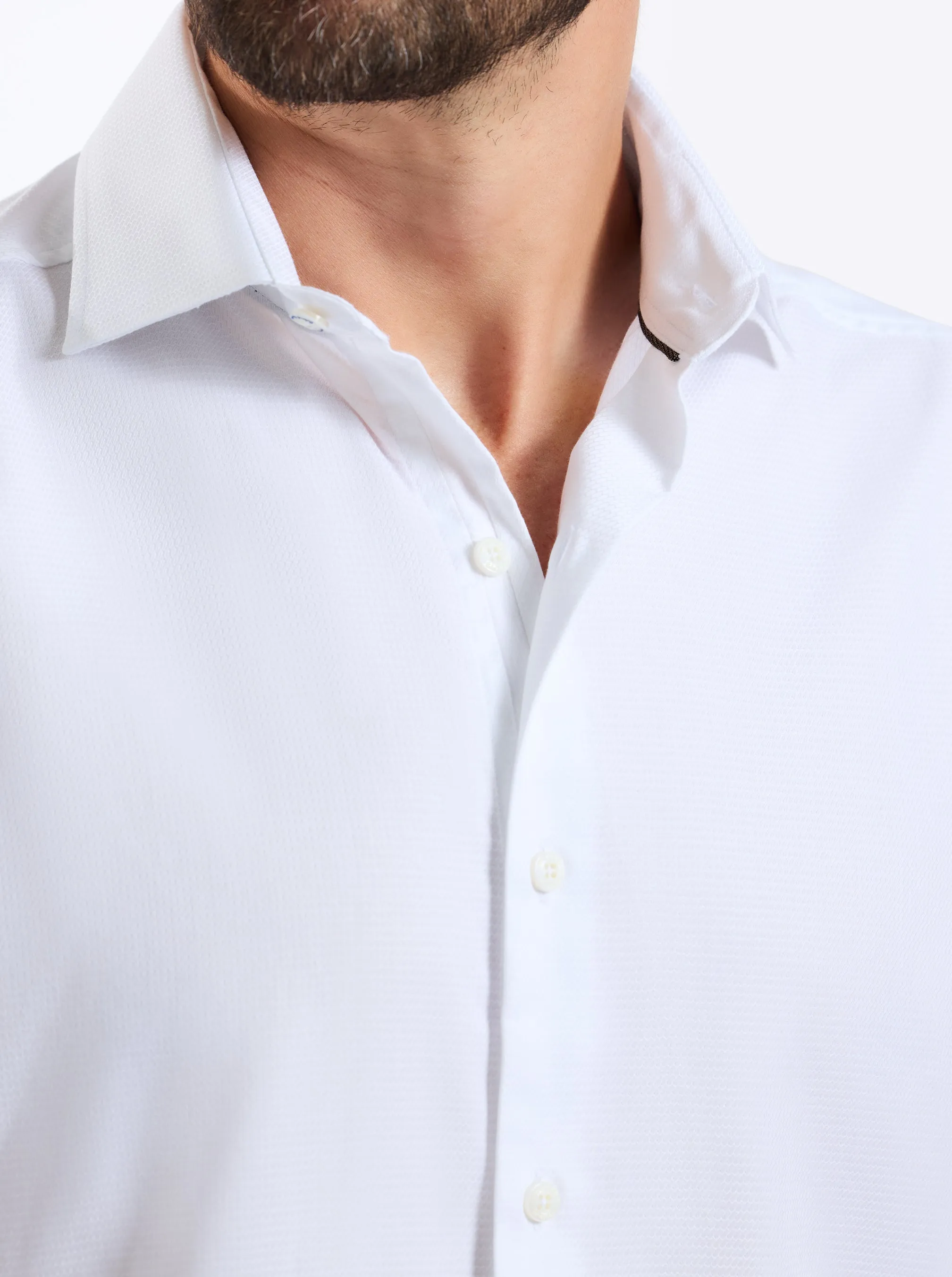 ARCH LONG SLEEVE BUTTON DOWN SHIRT sold by Robert Graham product image thumbnail 3