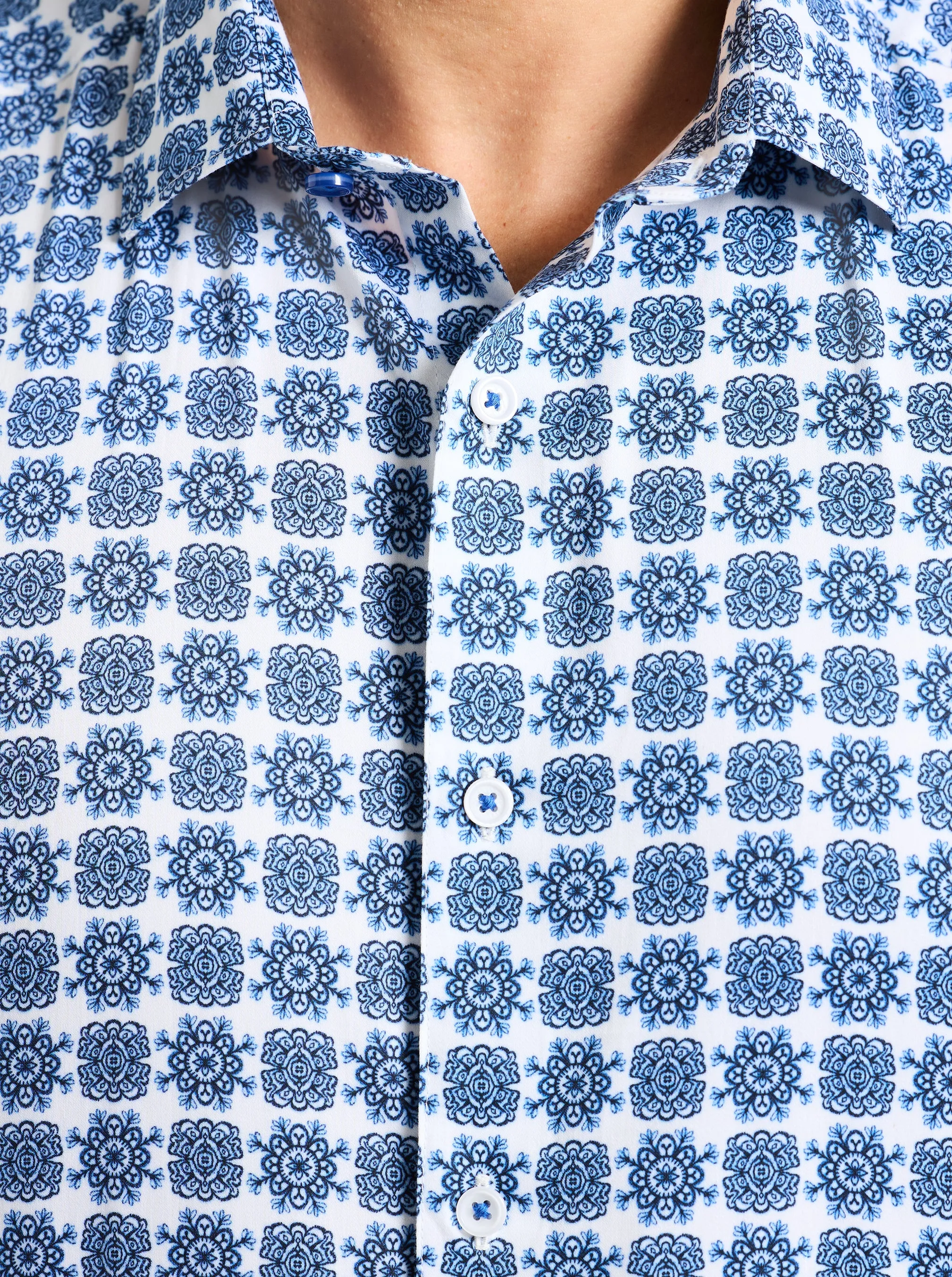 ARBOR SHORT SLEEVE BUTTON DOWN SHIRT sold by Robert Graham product image thumbnail 4