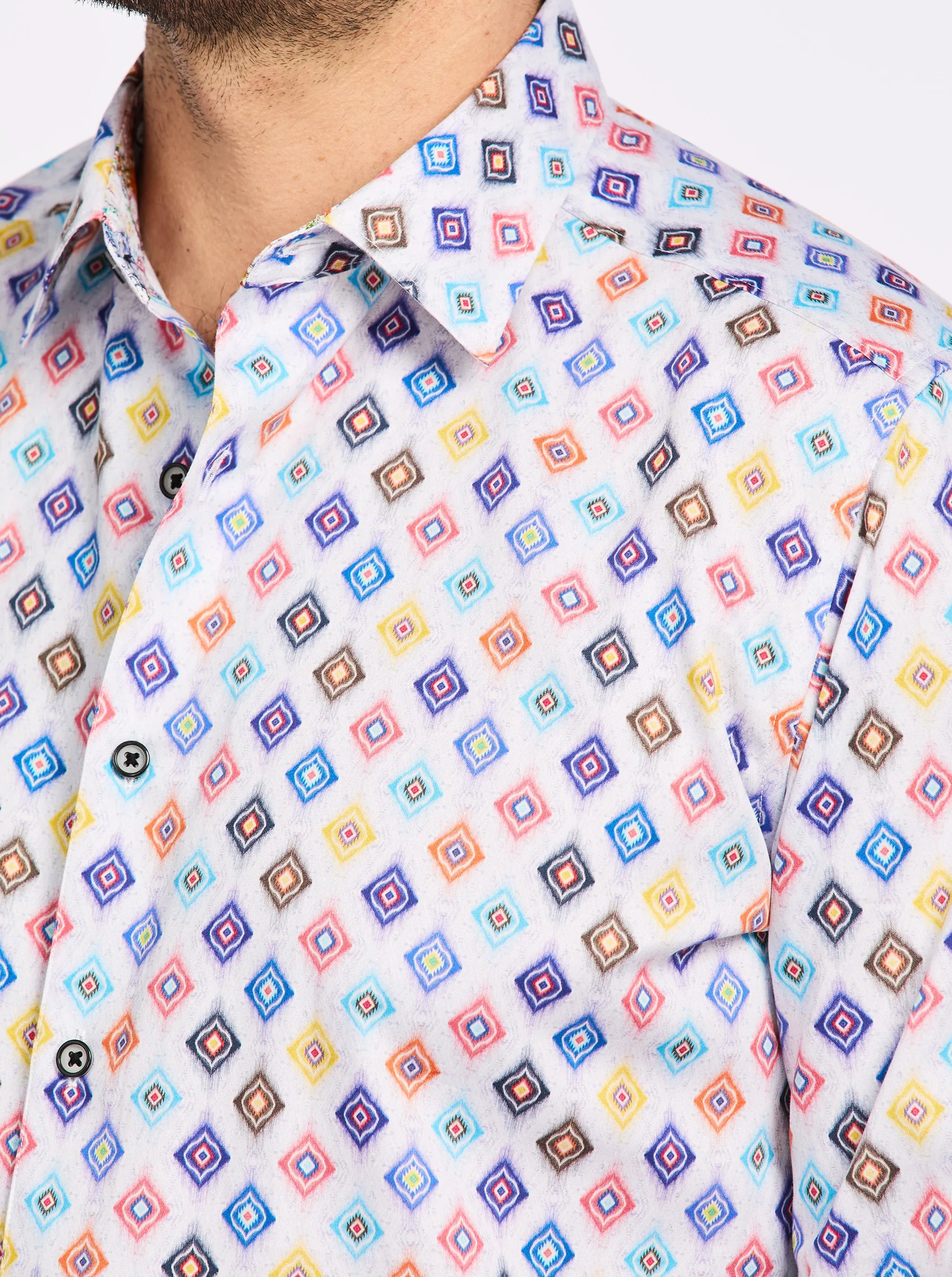 PETERMAN LONG SLEEVE BUTTON DOWN SHIRT sold by Robert Graham product image thumbnail 4