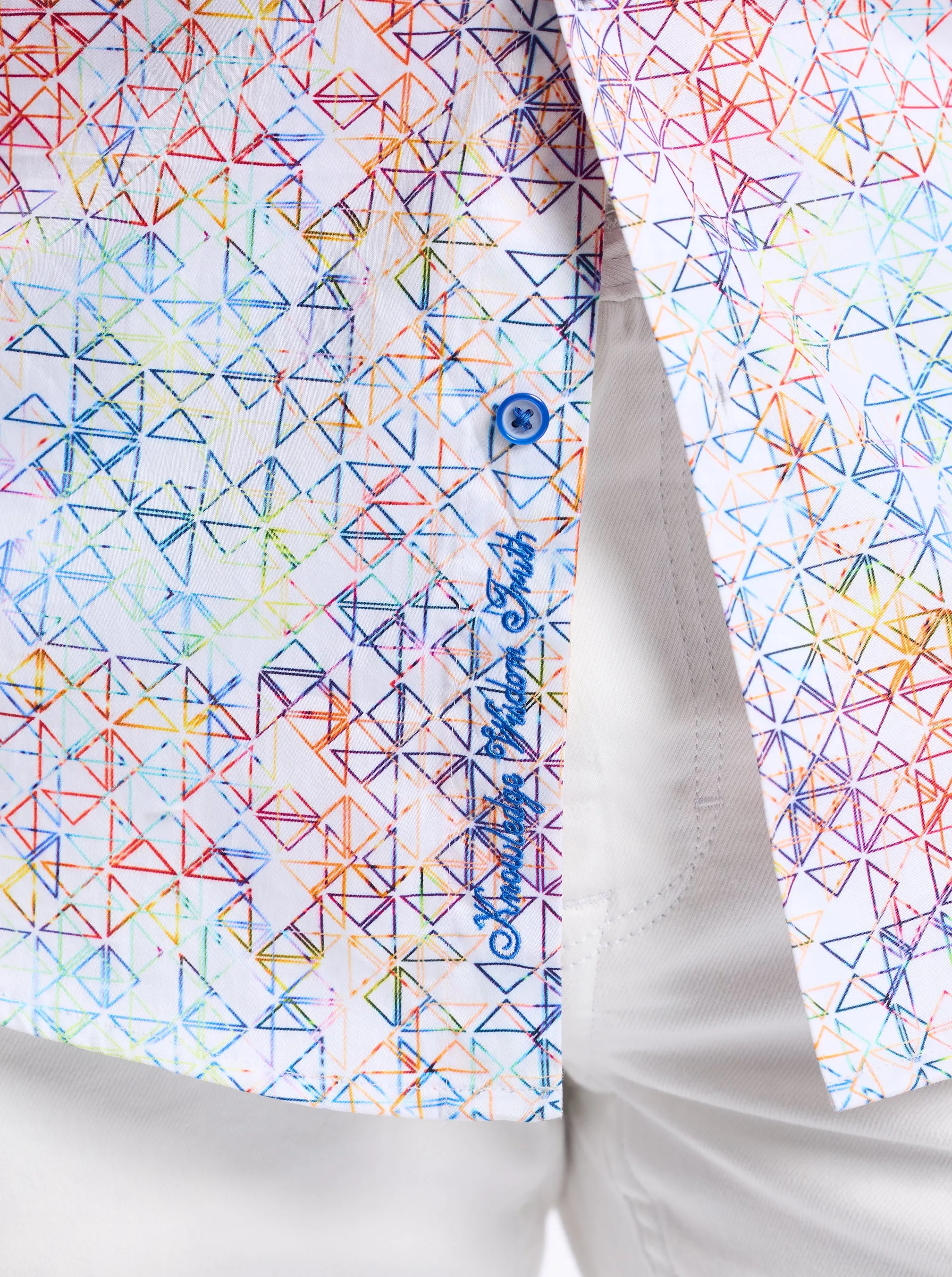 NAVER LONG SLEEVE BUTTON DOWN SHIRT sold by Robert Graham product image thumbnail 3