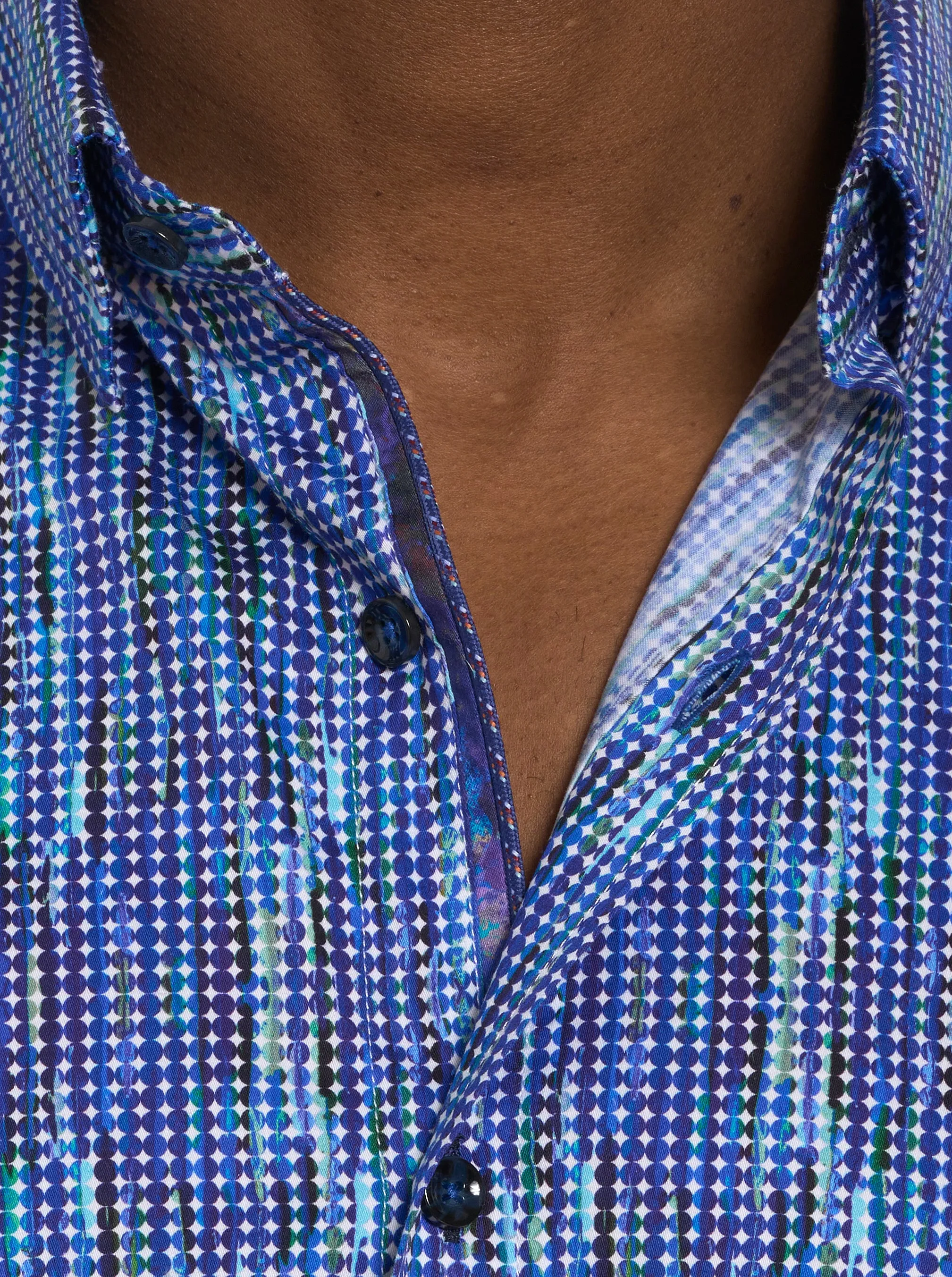 FRANKHAUSER LONG SLEEVE BUTTON DOWN SHIRT sold by Robert Graham product image thumbnail 4