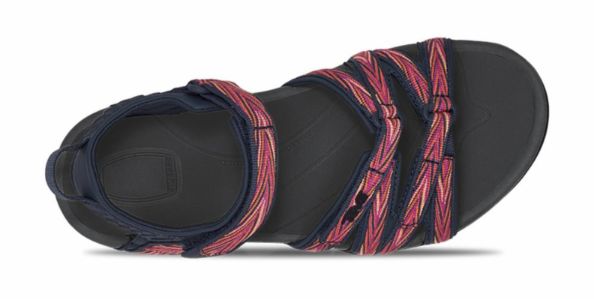 Teva Women TIRRA PALMS INDIGO/ ROSE VIOLET sold by Rockport