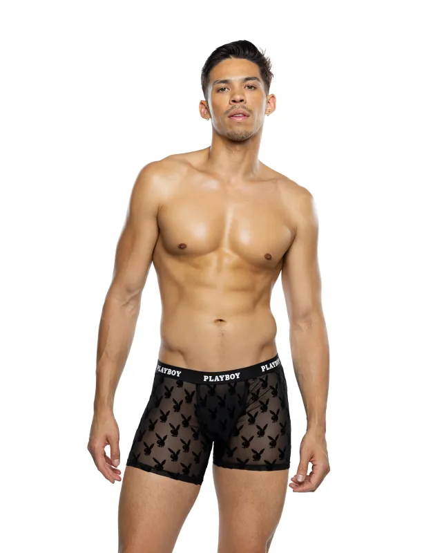 PBLI227 - Burnout Bunny Boxer Briefs sold by Roma
