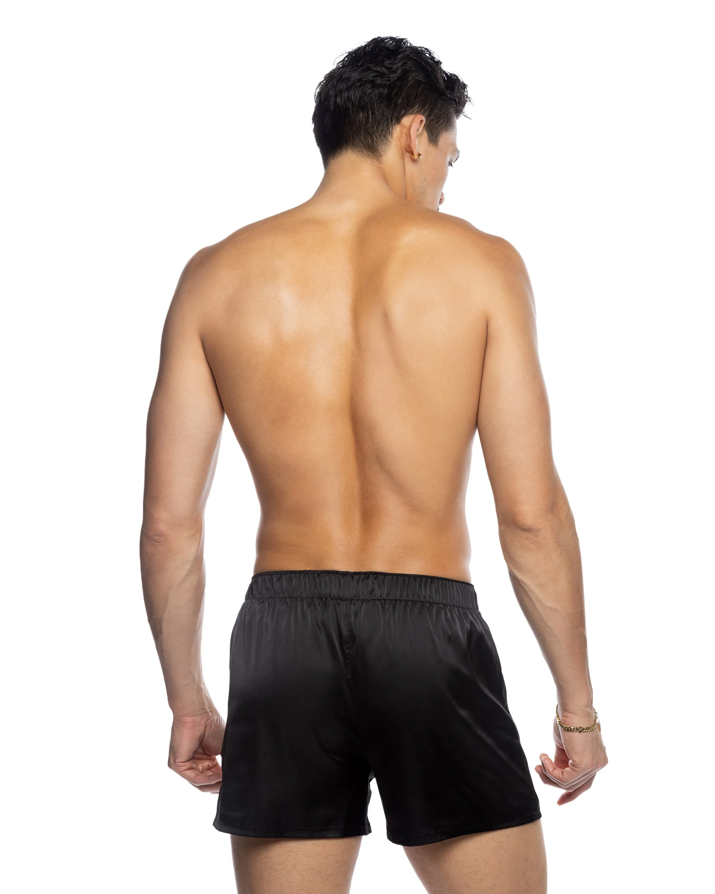 LI818 - Champion Boxer sold by Roma product image thumbnail 4