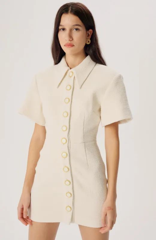 Wendon Mini Dress sold by Ronny Kobo Collection