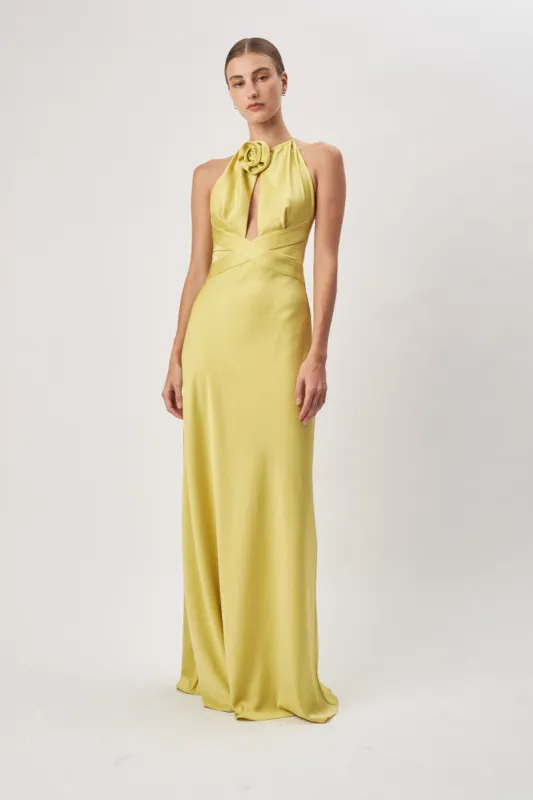 Wonder Dress sold by Ronny Kobo Collection