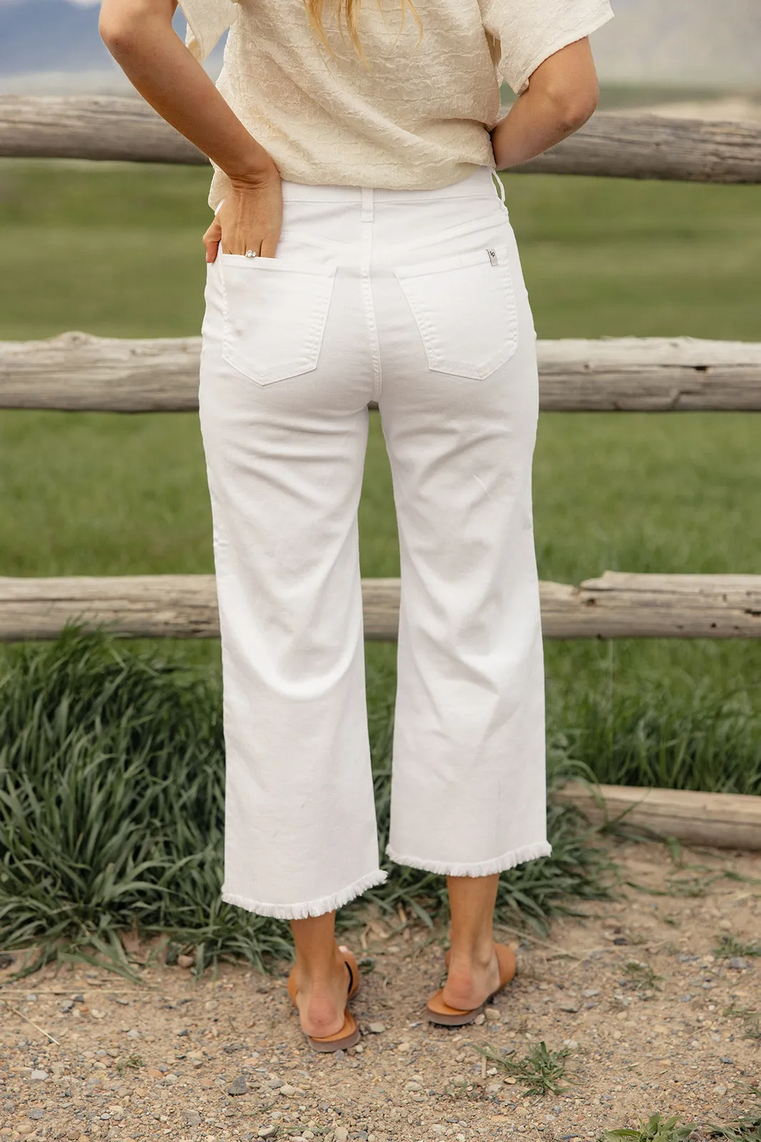 Peter High Rise Wide Leg Pants sold by Roolee product image thumbnail 4