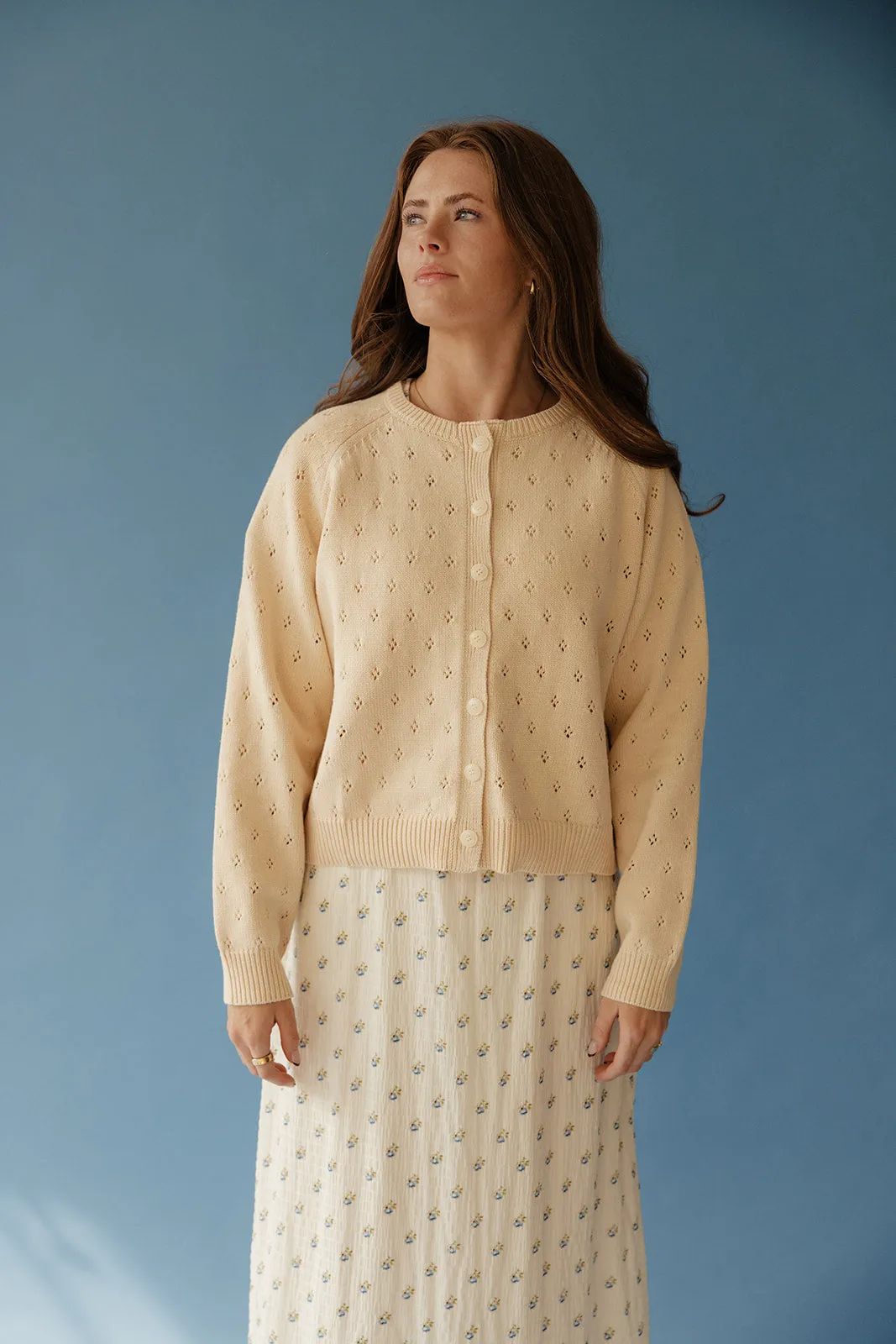 Sweetwater Pointelle Cardigan sold by Roolee product image thumbnail 4