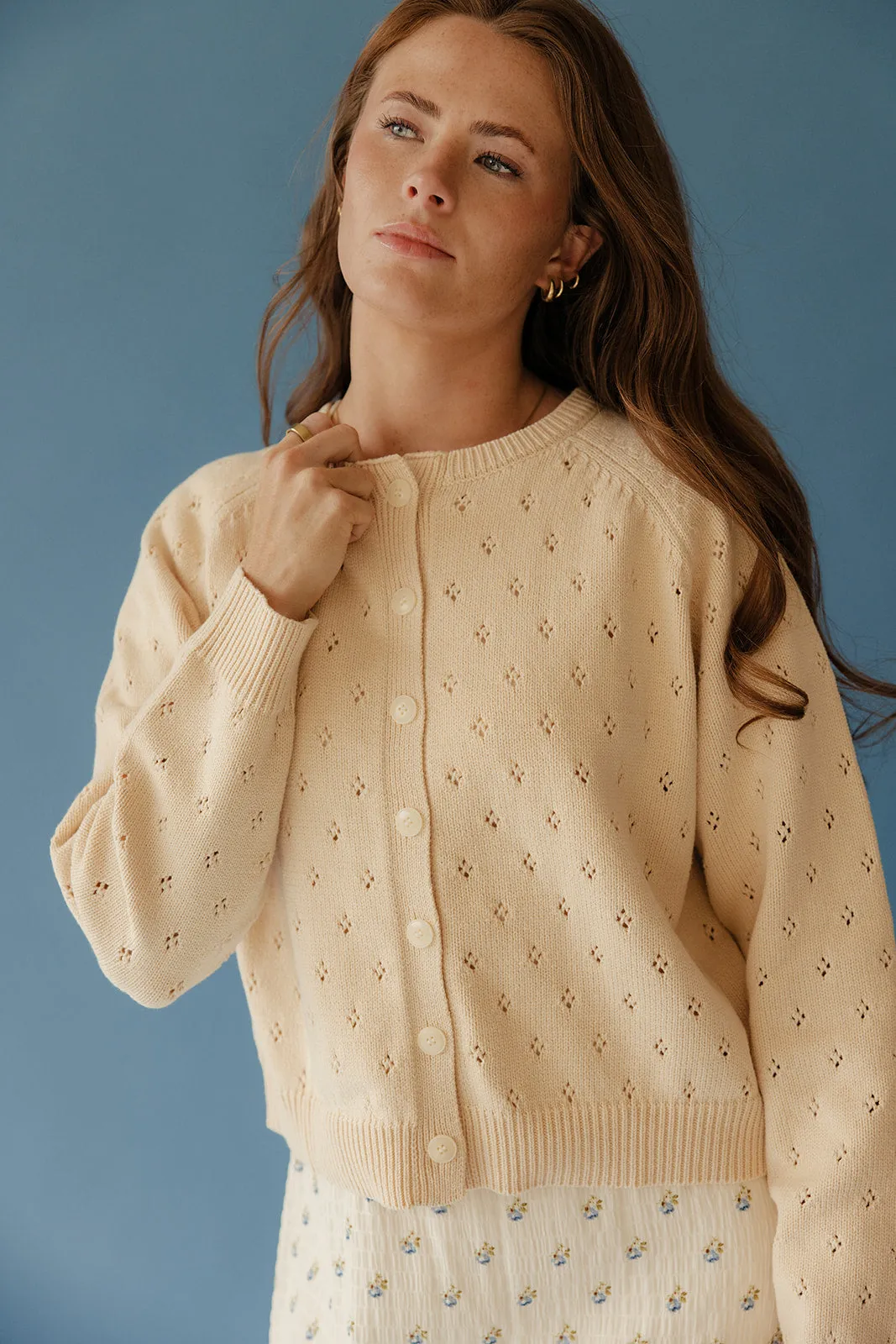 Sweetwater Pointelle Cardigan sold by Roolee product image thumbnail 2