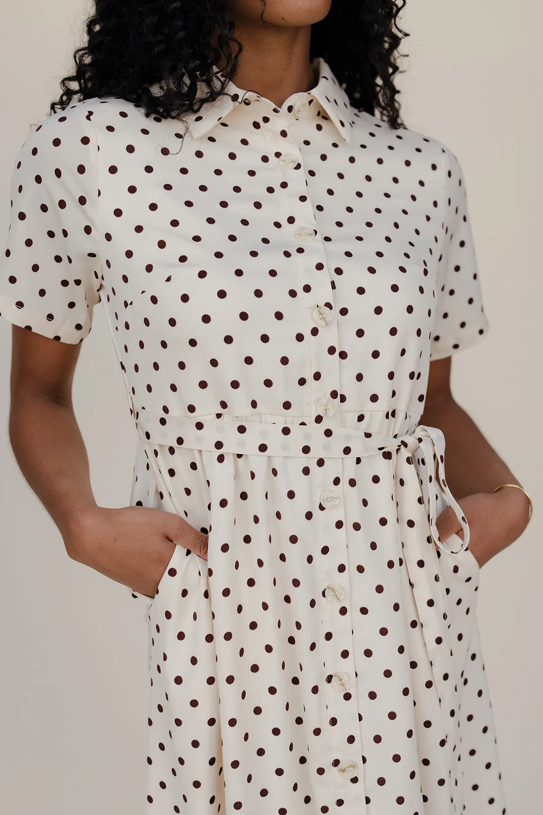 Penny Lane Dot Dress sold by Roolee product image thumbnail 2