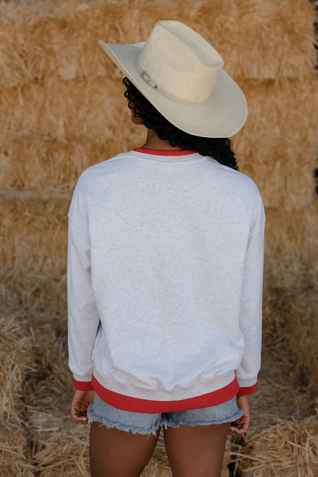 America Graphic Pullover sold by Roolee product image thumbnail 4