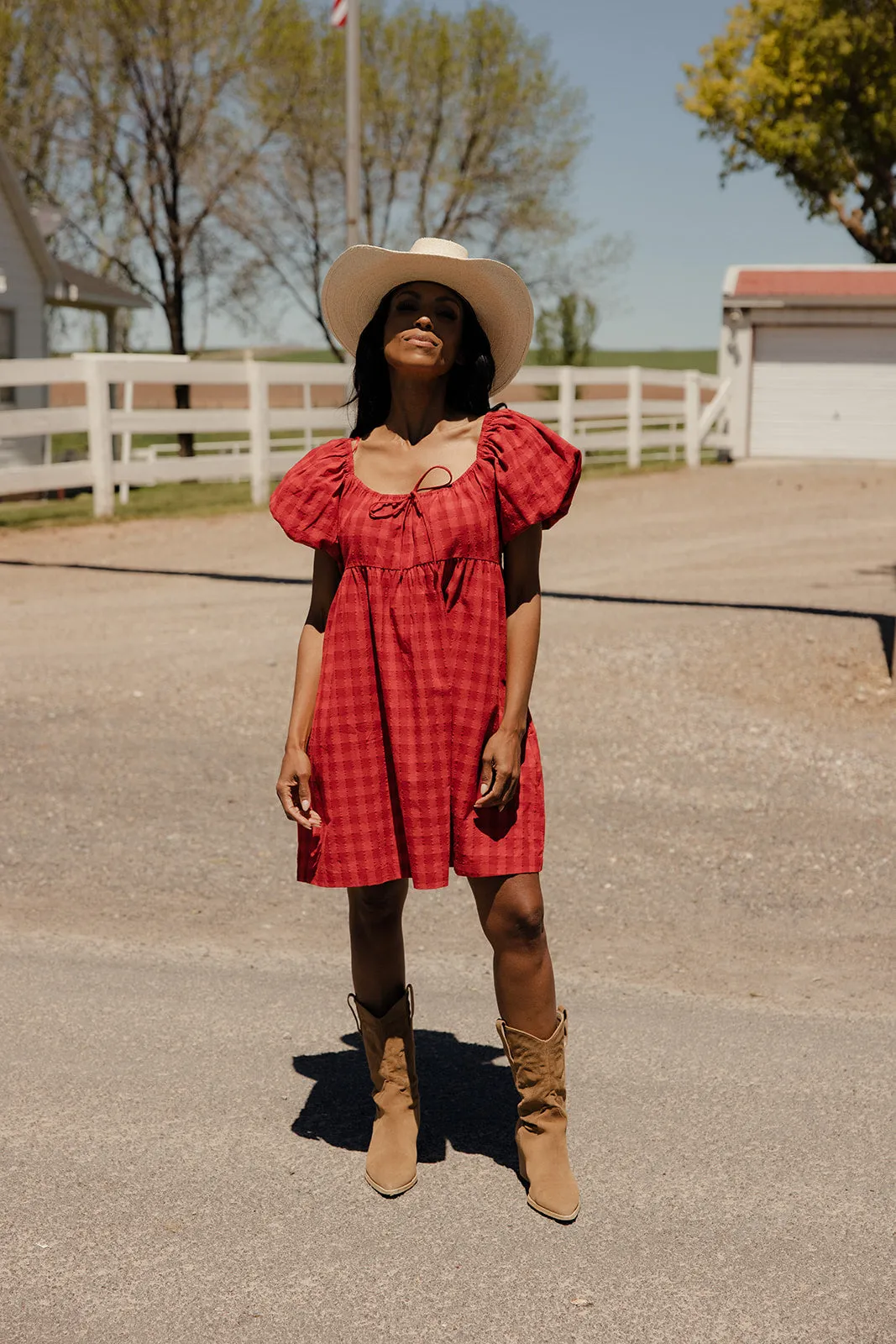 County Fair Gingham Dress sold by Roolee product image thumbnail 3