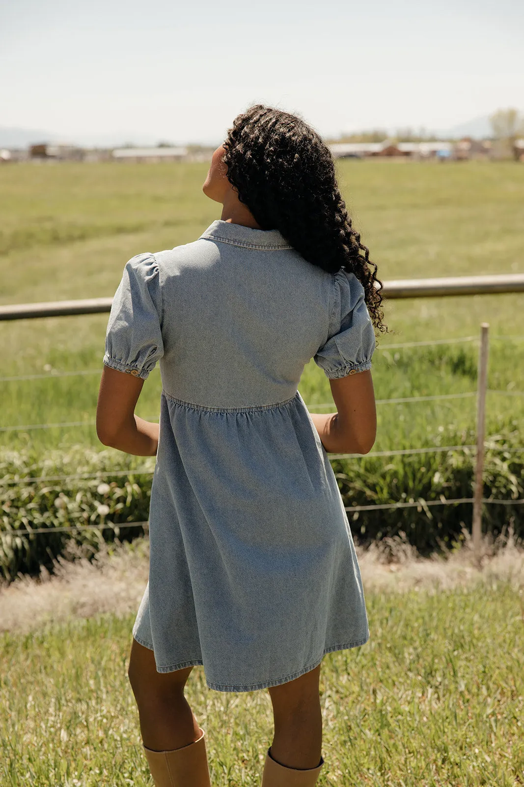 Summer in Denim Collared Dress sold by Roolee product image thumbnail 3
