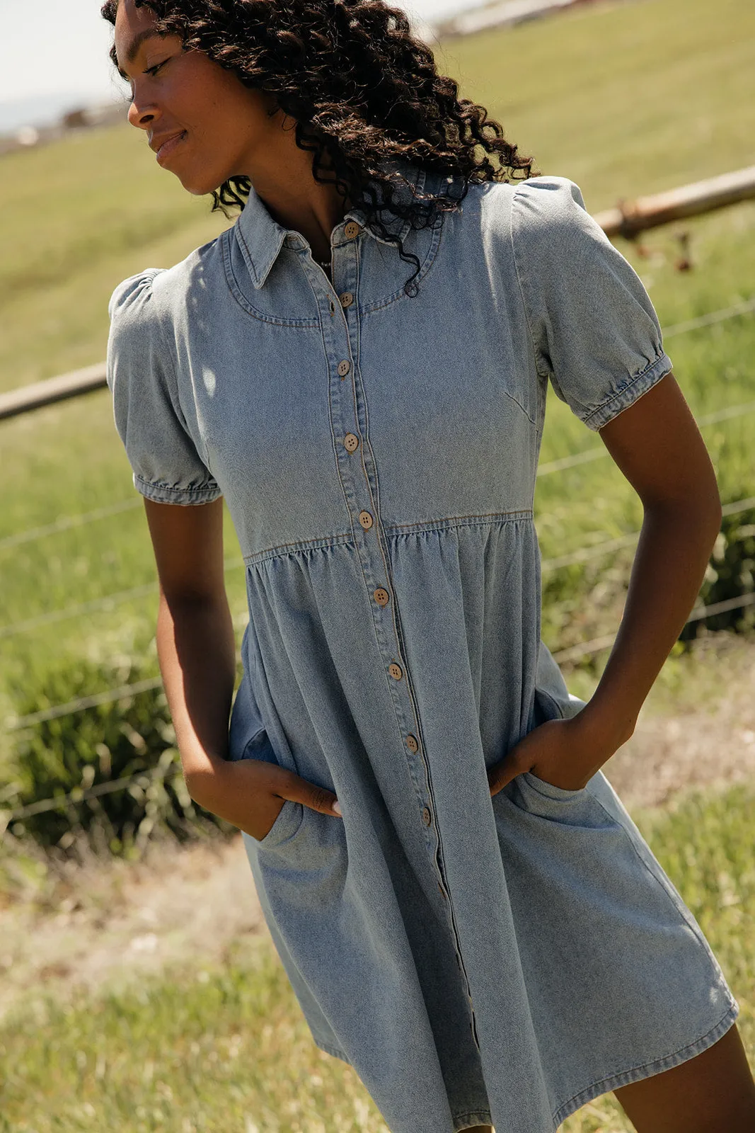 Summer in Denim Collared Dress sold by Roolee product image thumbnail 4