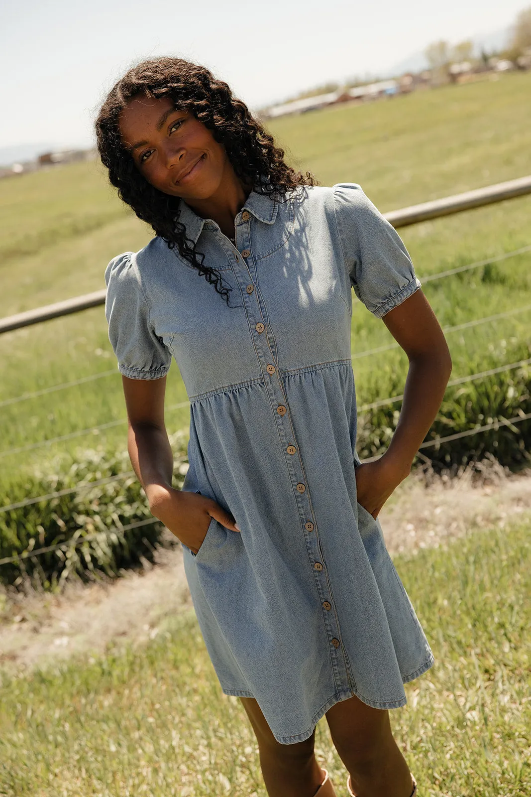 Summer in Denim Collared Dress sold by Roolee product image thumbnail 5