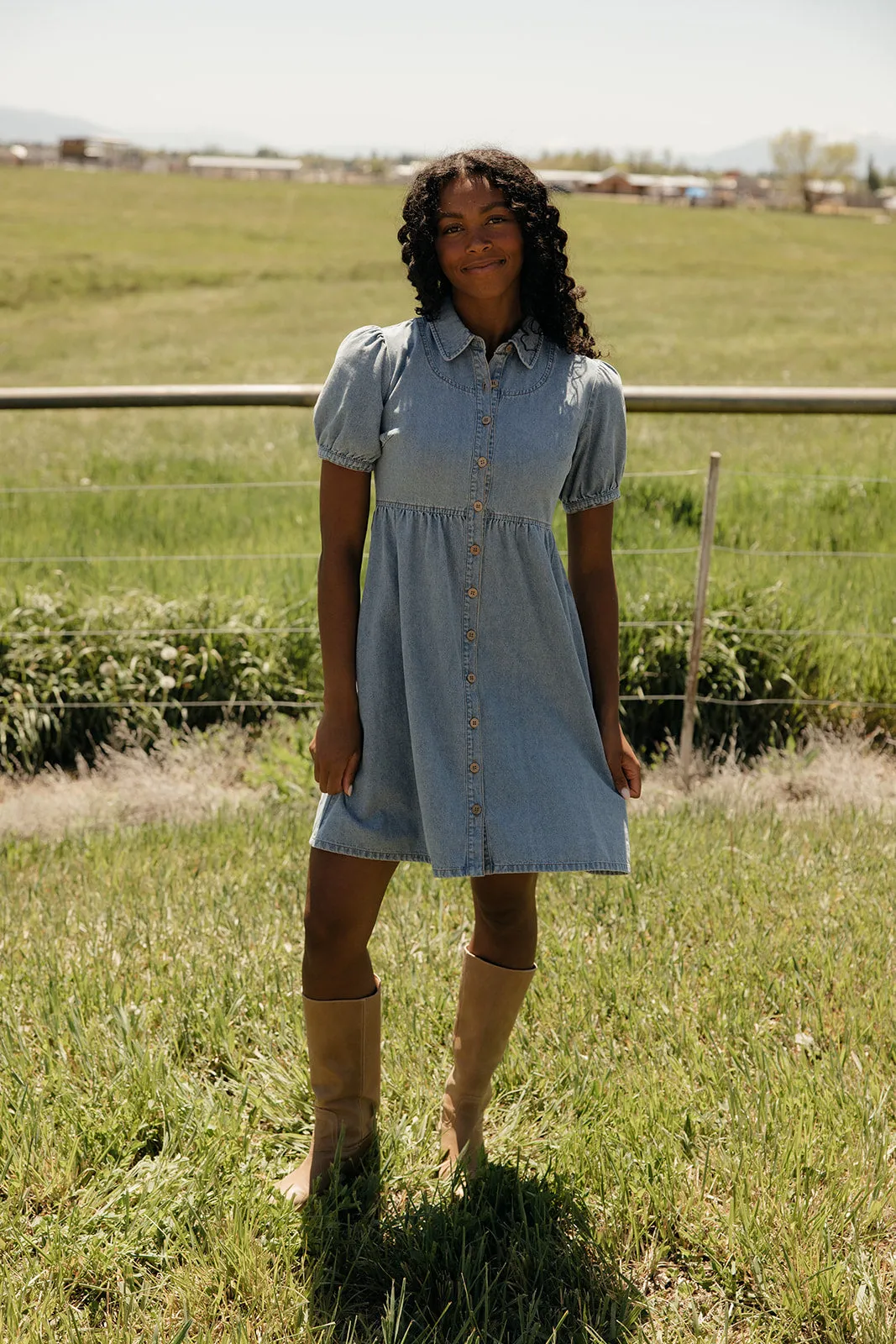 Summer in Denim Collared Dress sold by Roolee product image thumbnail 2