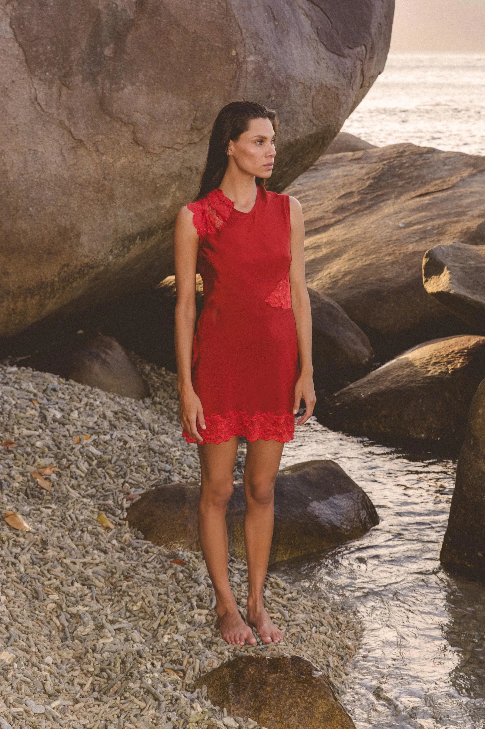 Lily Silk Lace Mini Dress sold by Rowie the Label product image thumbnail 5