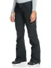 Cabin Technical Snow Pants - True Black sold by Roxy