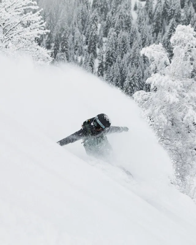 Stated Snow Jacket - Lily Pad Sketch Book sold by Roxy