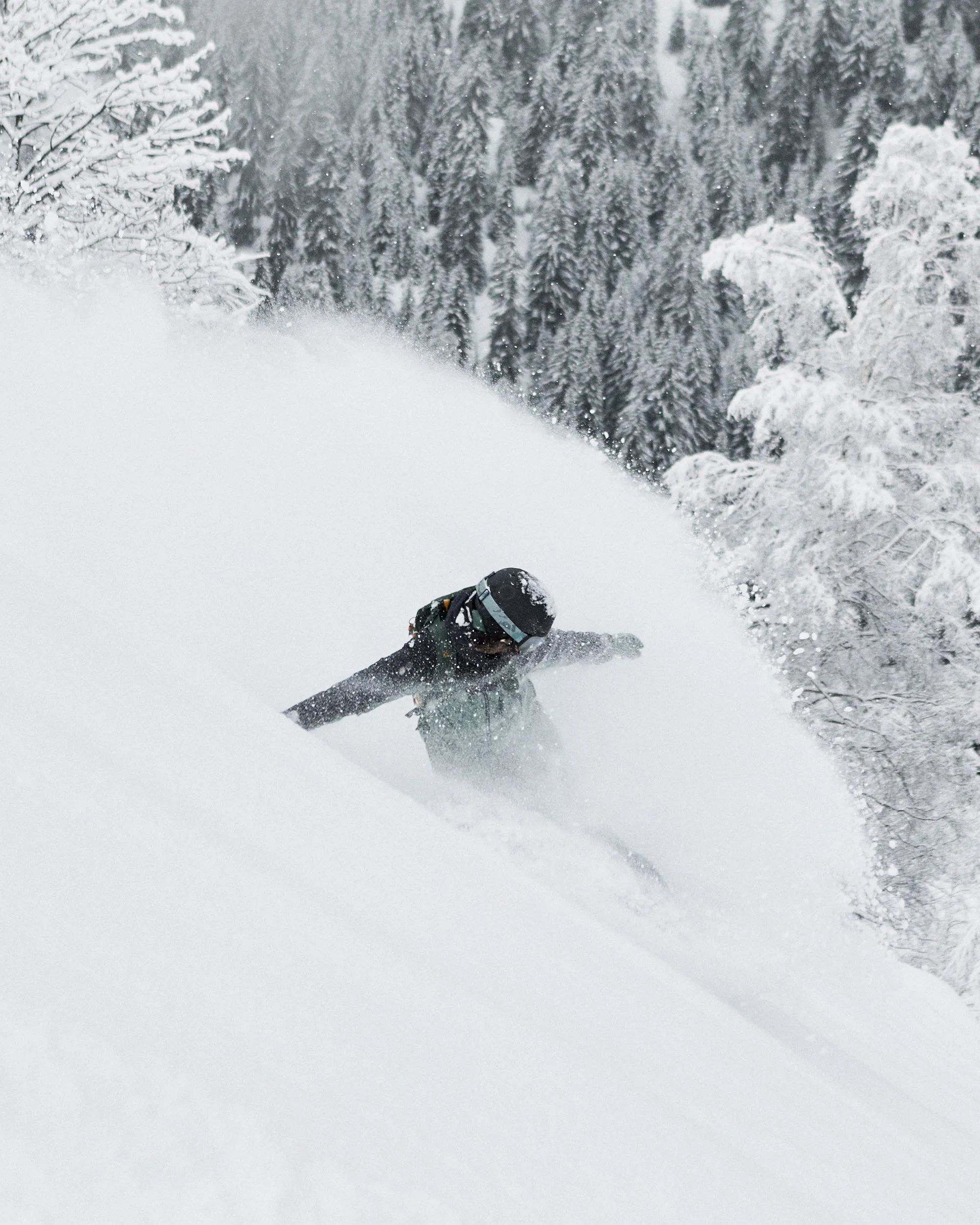 Stated Snow Jacket - Lily Pad Sketch Book sold by Roxy