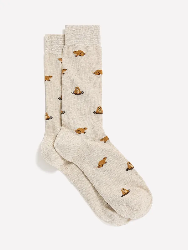 Groundhog Socks sold by RW&CO.