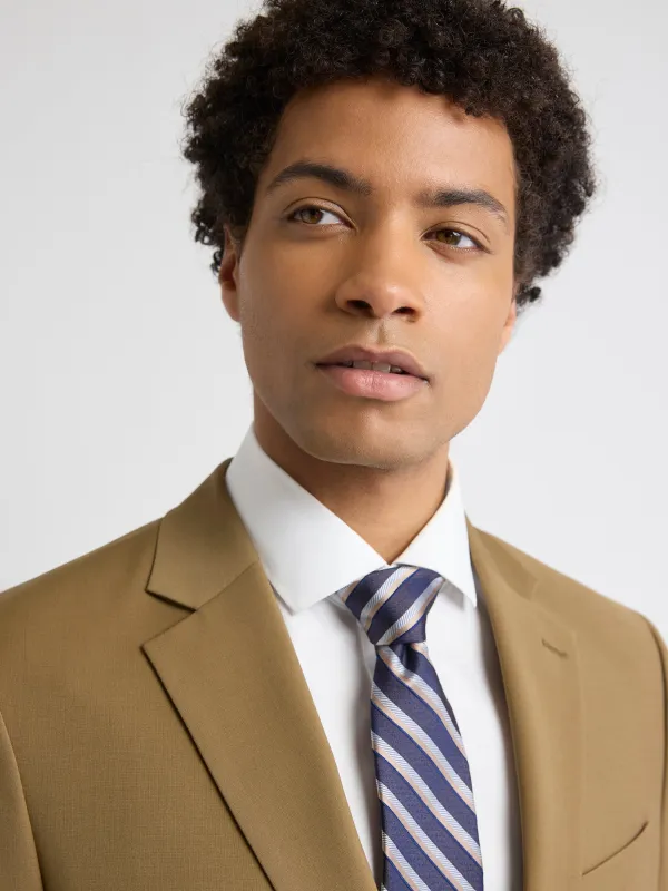 Brown Regular Tie with Stripes sold by RW&CO.