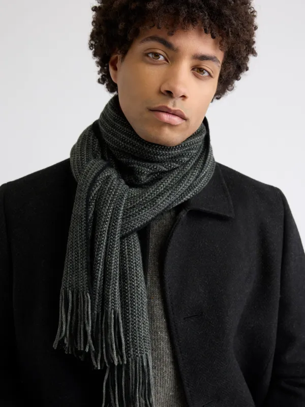 Striped Scarf with Fringes sold by RW&CO.