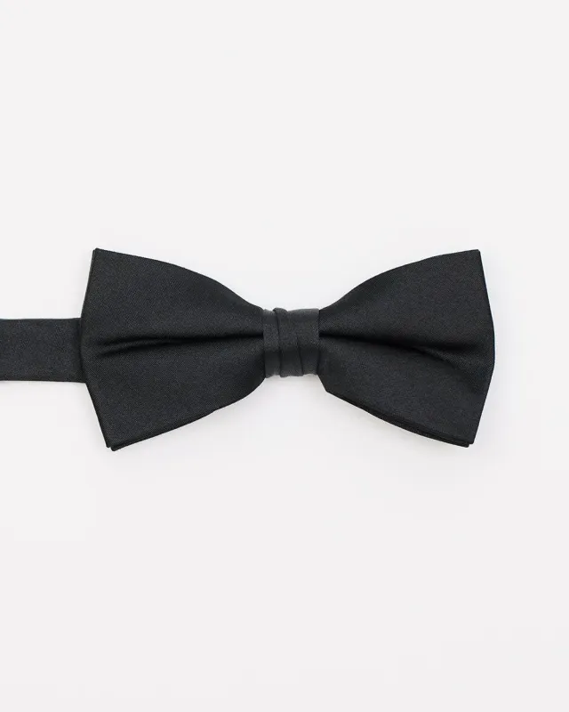 Solid Iridescent Bow Tie sold by RW&CO.