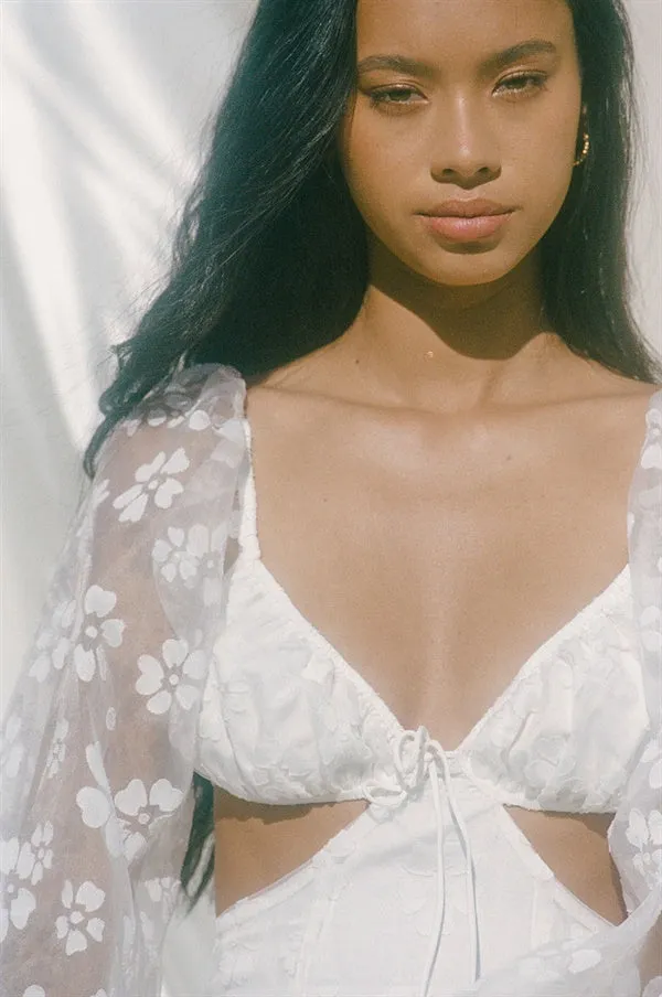 SAMPLE-Backless Salerno Dress sold by Sabo Skirt product image thumbnail 4