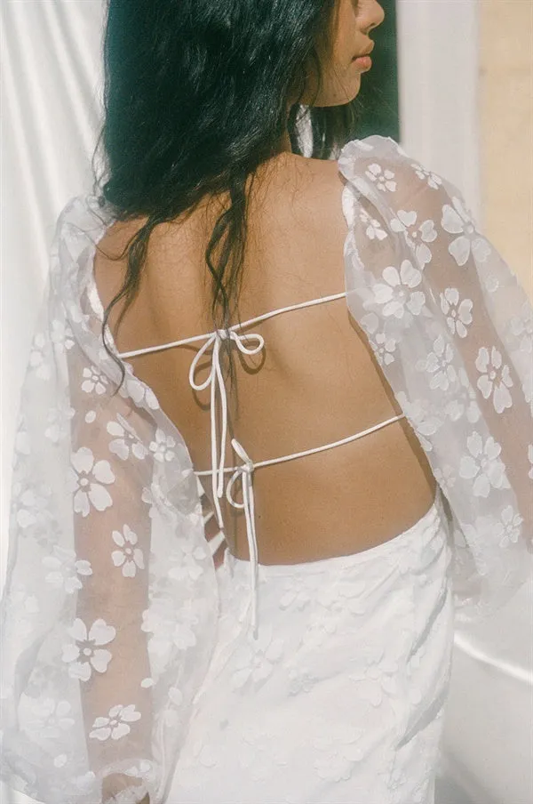 SAMPLE-Backless Salerno Dress sold by Sabo Skirt product image thumbnail 5