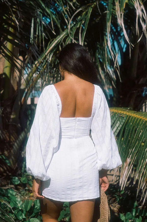 Addilyn Dress - Stripe sold by Sabo Skirt product image thumbnail 4